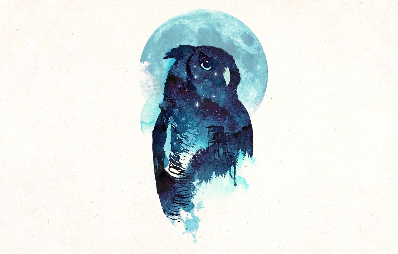 Wallpaper Owl, Midnight, Robert Farkas image for desktop, section минимализм
