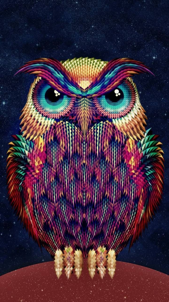 Owl Phone Wallpaper. Burung hantu, Burung, Gambar