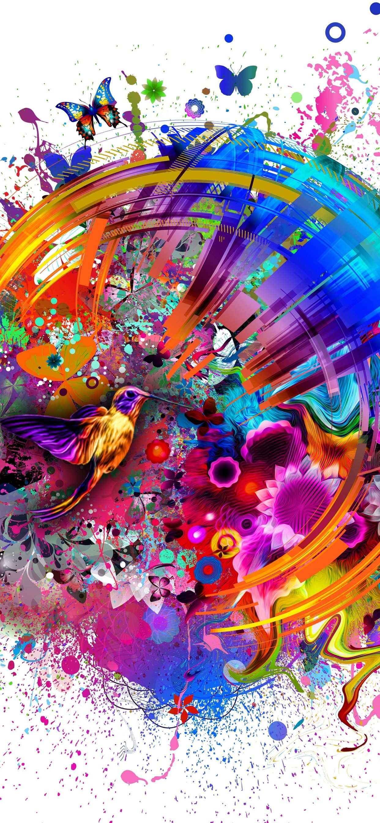 Abstract Colors Flashy Bird 4k Wallpaper