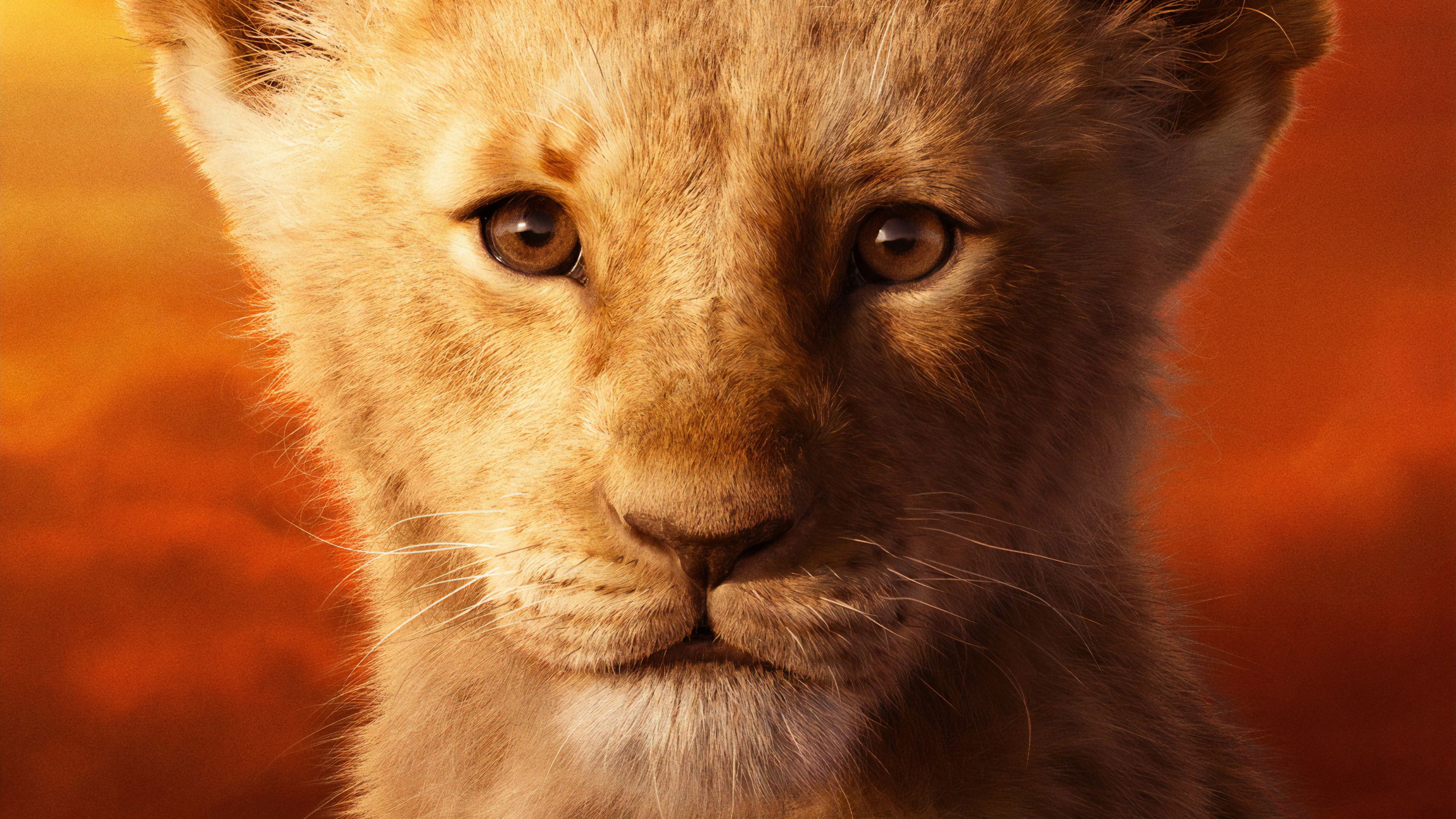 The Lion King 2019 Simba 4K Wallpapers