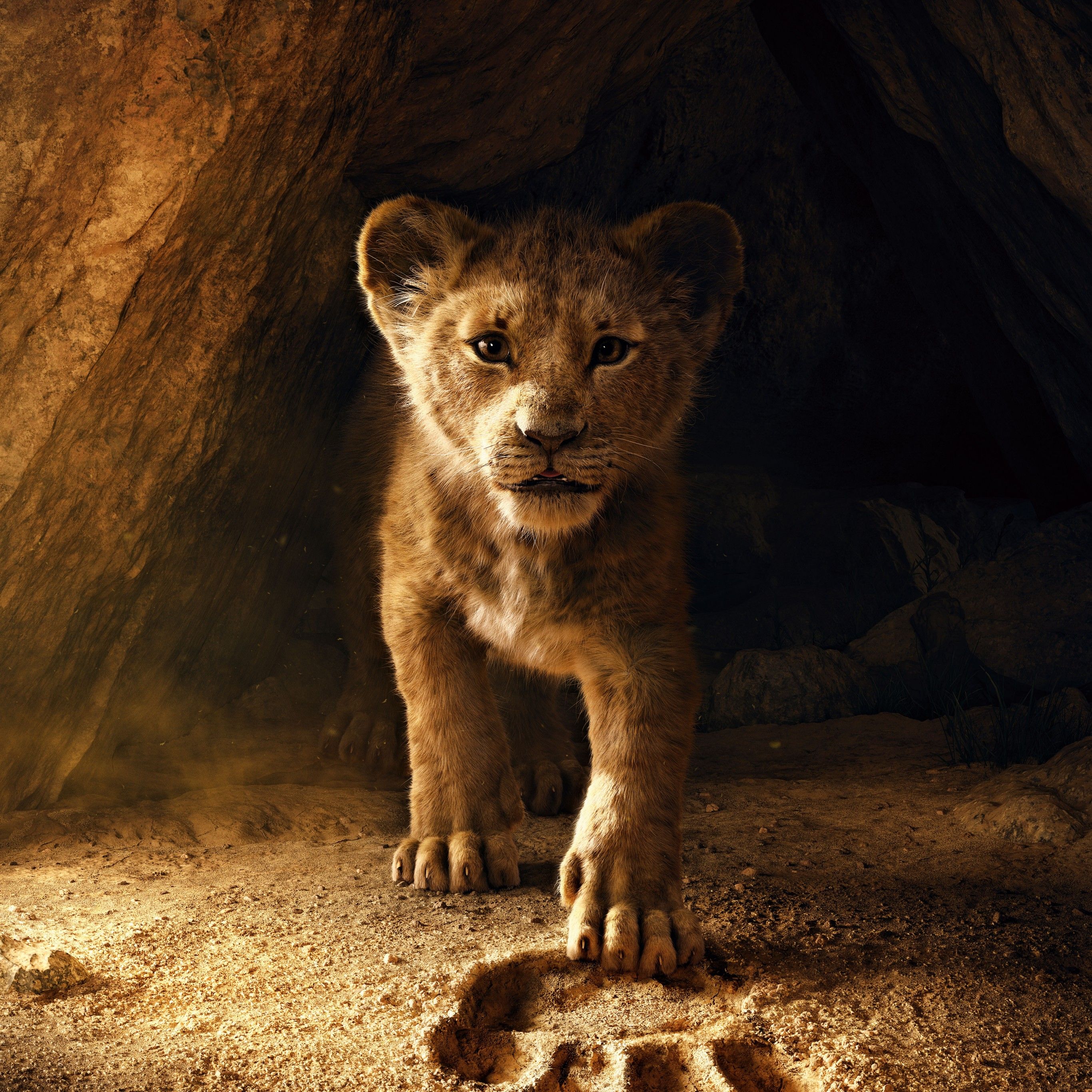 The Lion King 4K Wallpaper, Simba, Lion cub, 5K, Movies,