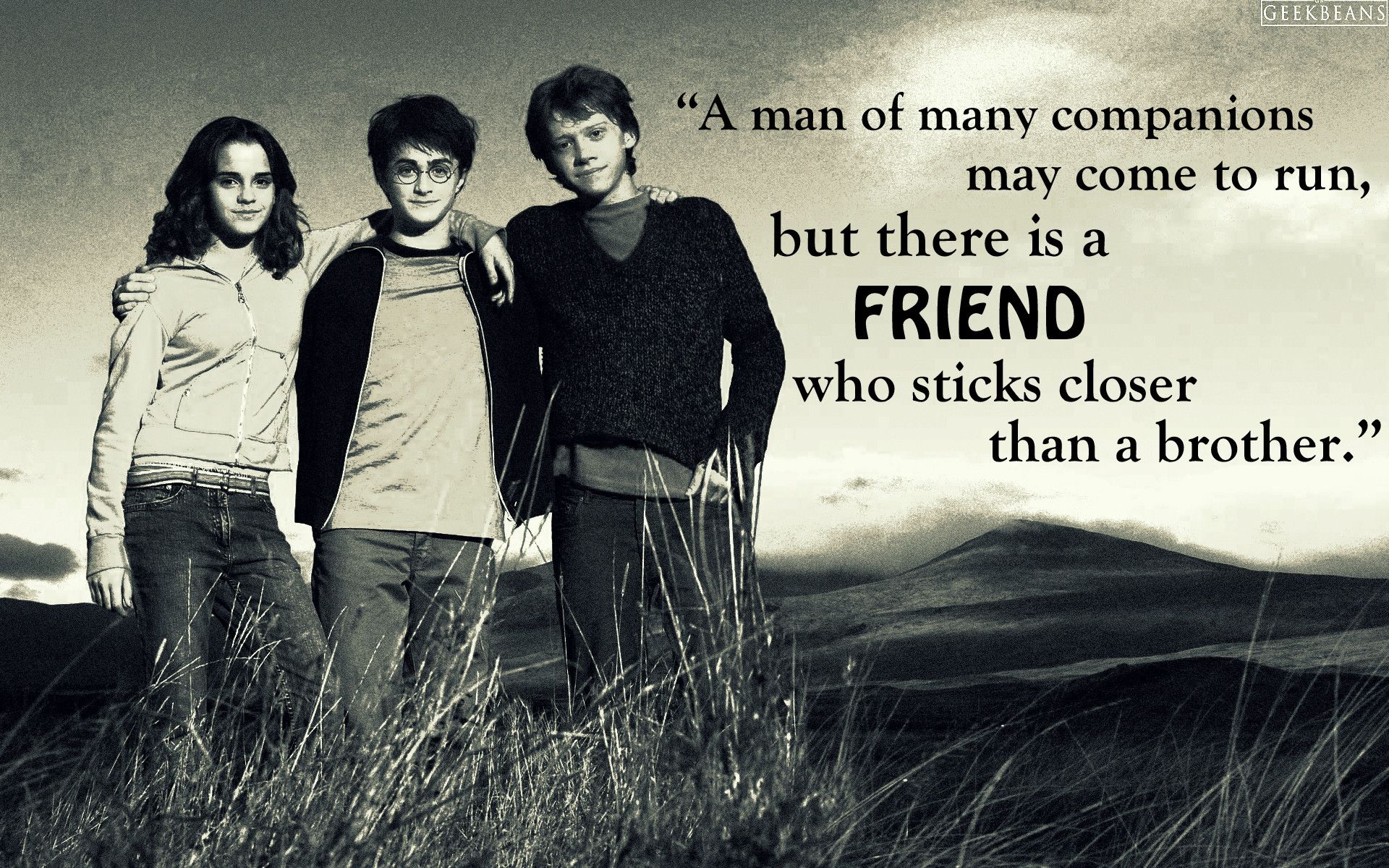 Harry Potter Quote