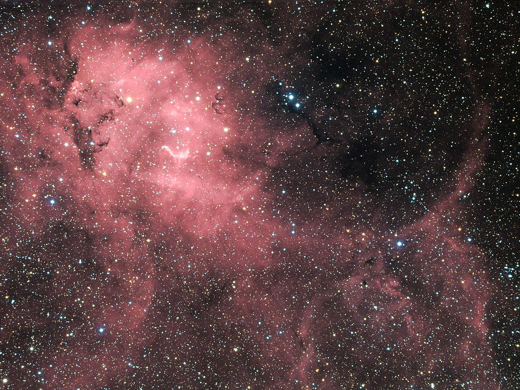 Nébuleuse de l'Eléphant. J'espère ne pas être le seul à y v