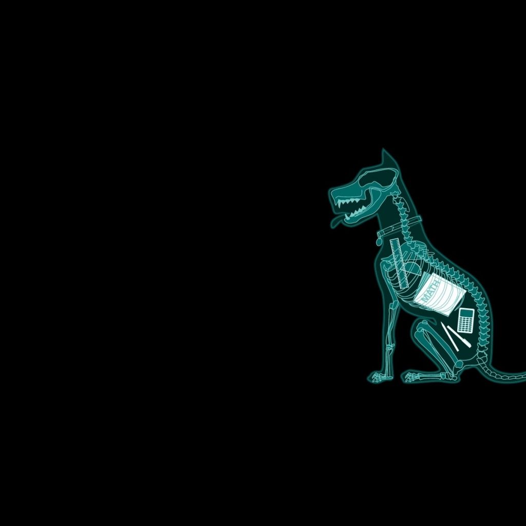 Free download dark humor dogs funny mathematics xray simple background black [1024x1024] for your Desktop, Mobile & Tablet. Explore Dark Humor Wallpaper. Humorous Wallpaper For Desktop, Humorous Wallpaper