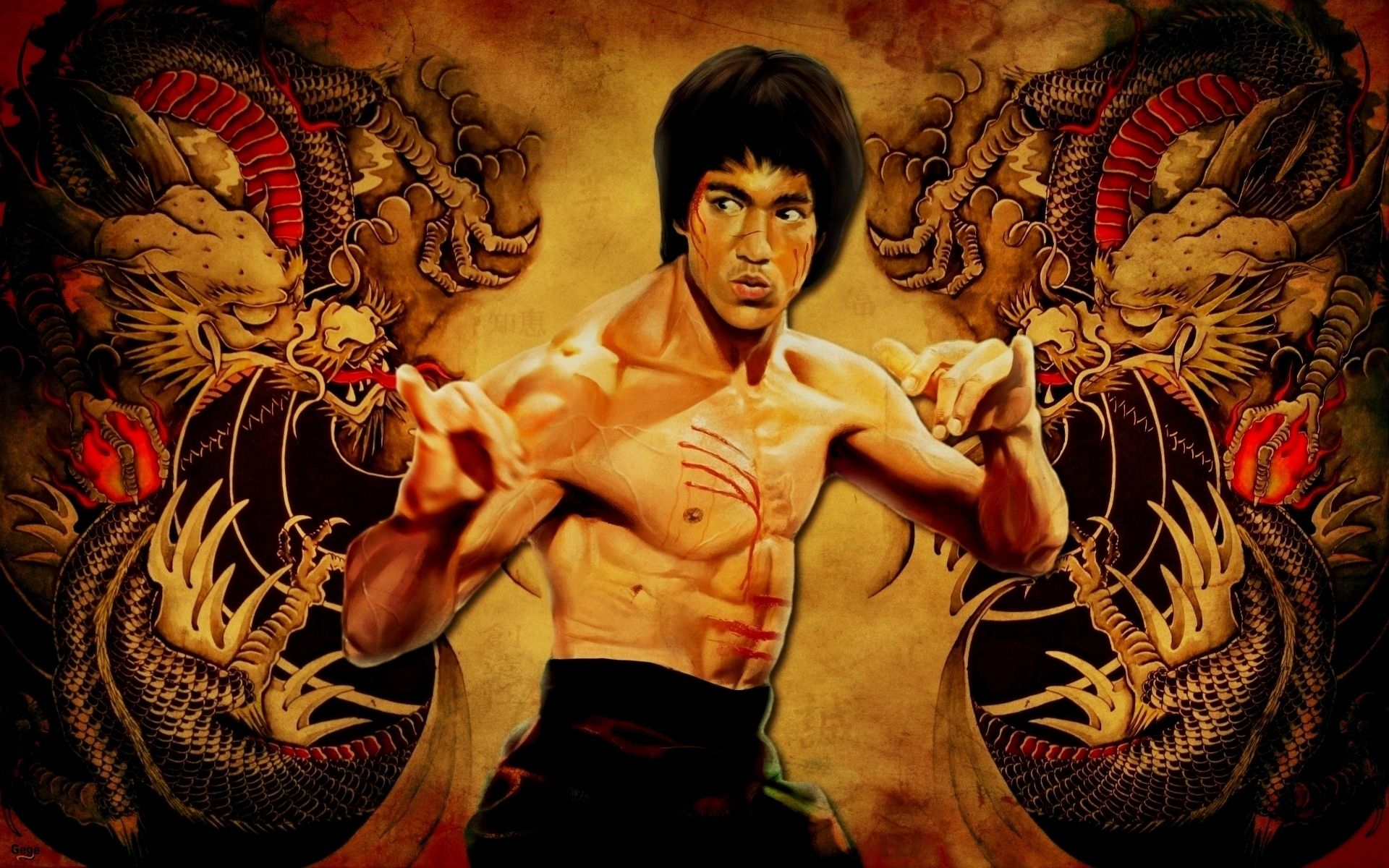 Bruce Lee Wallpaper Dragon HD Wallpaper