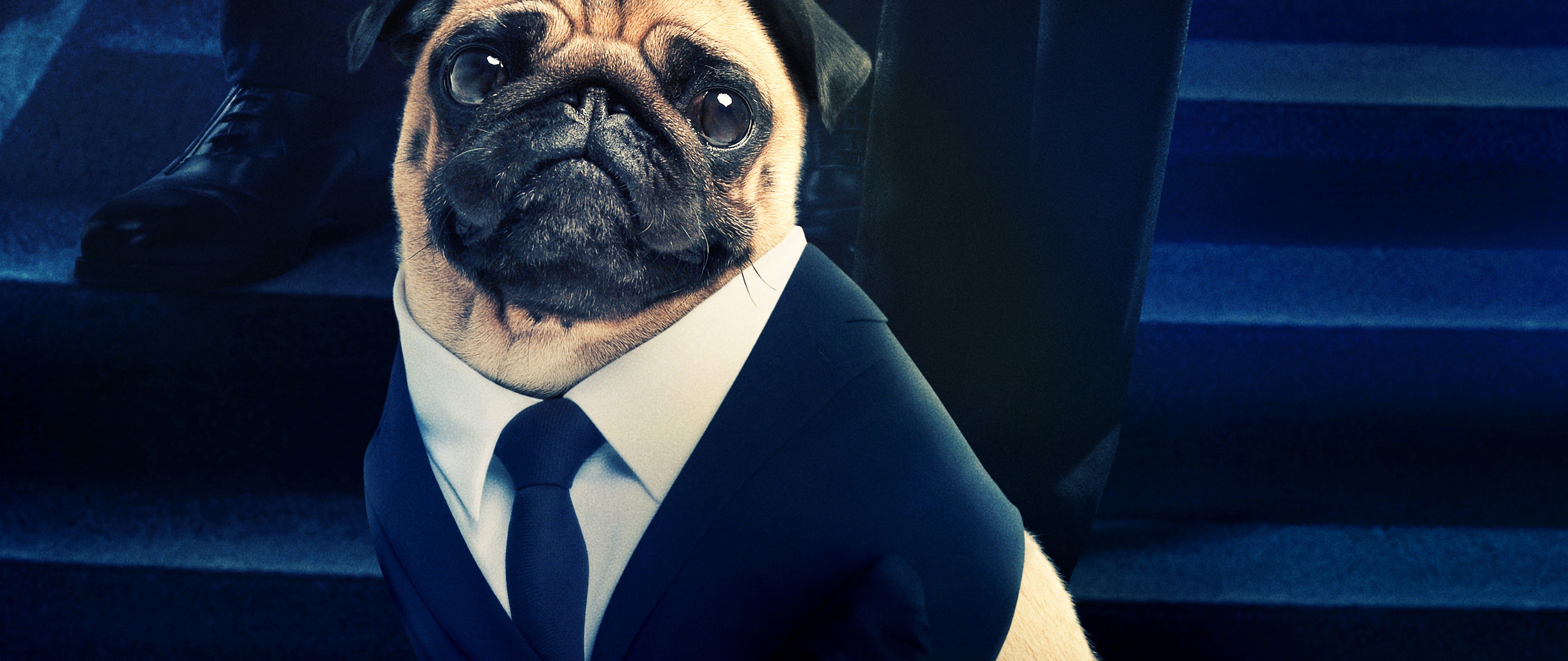 Men in Black International Frank the Pug 8K Wallpaper