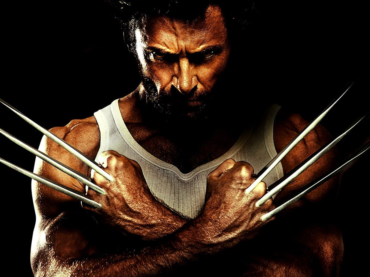 Wolverine wallpaper HD. Download Free background