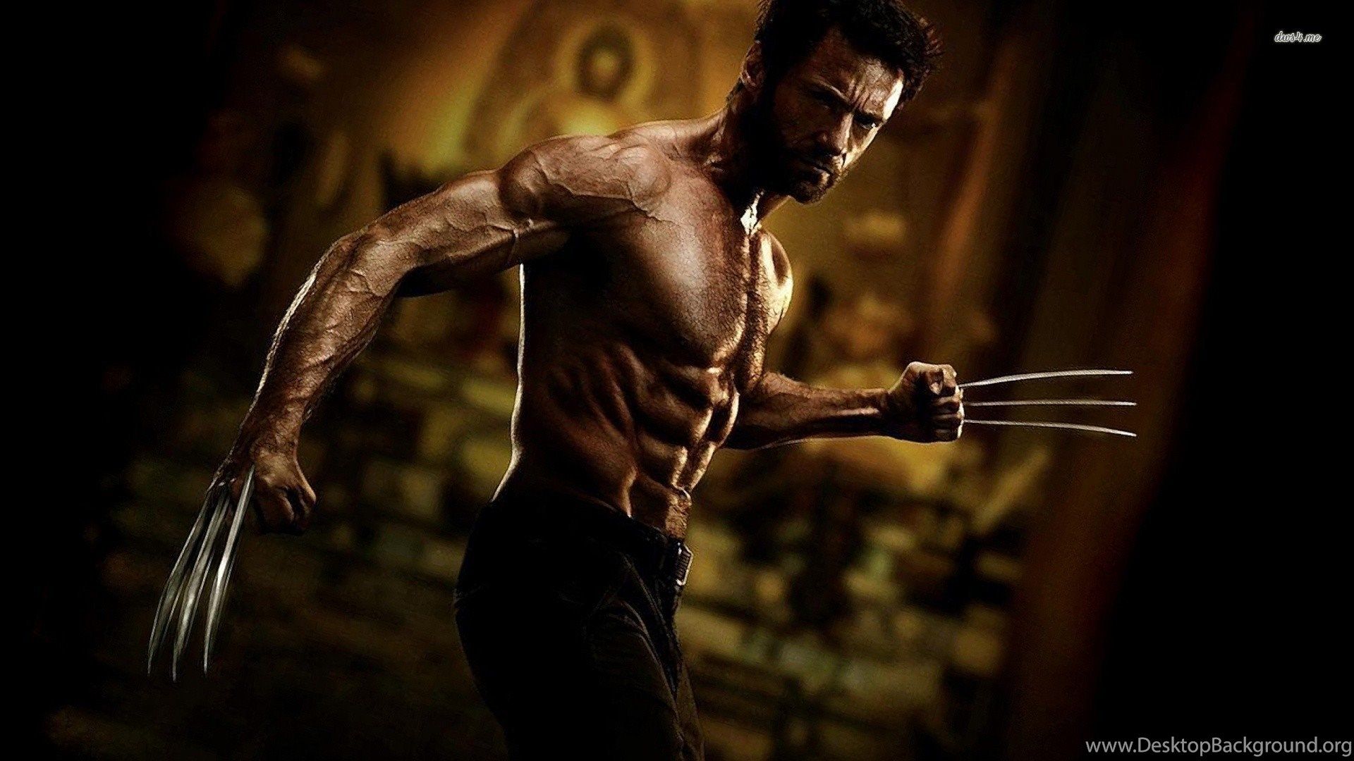 The Wolverine Wallpaper Movie Wallpaper Desktop Background