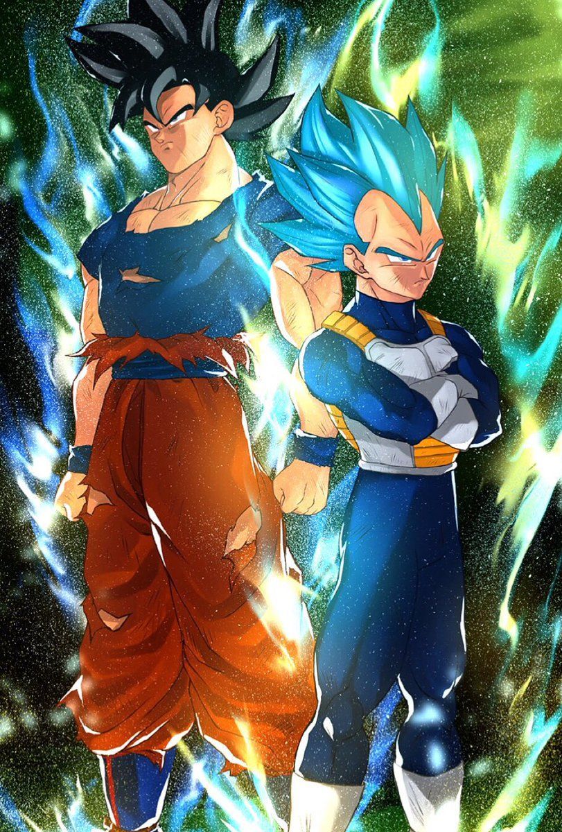 Goku Mastered Ultra Instinct And Vegeta Super Saiyan Blue Evolution Wallpaper