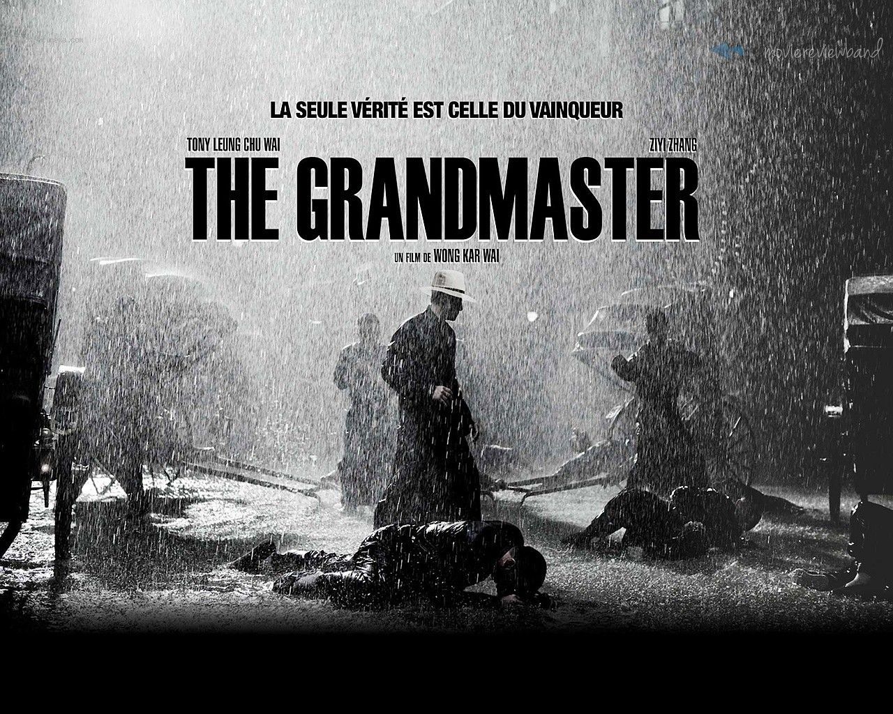 The Grandmaster. The grandmaster, Martial arts movies, Martial arts film