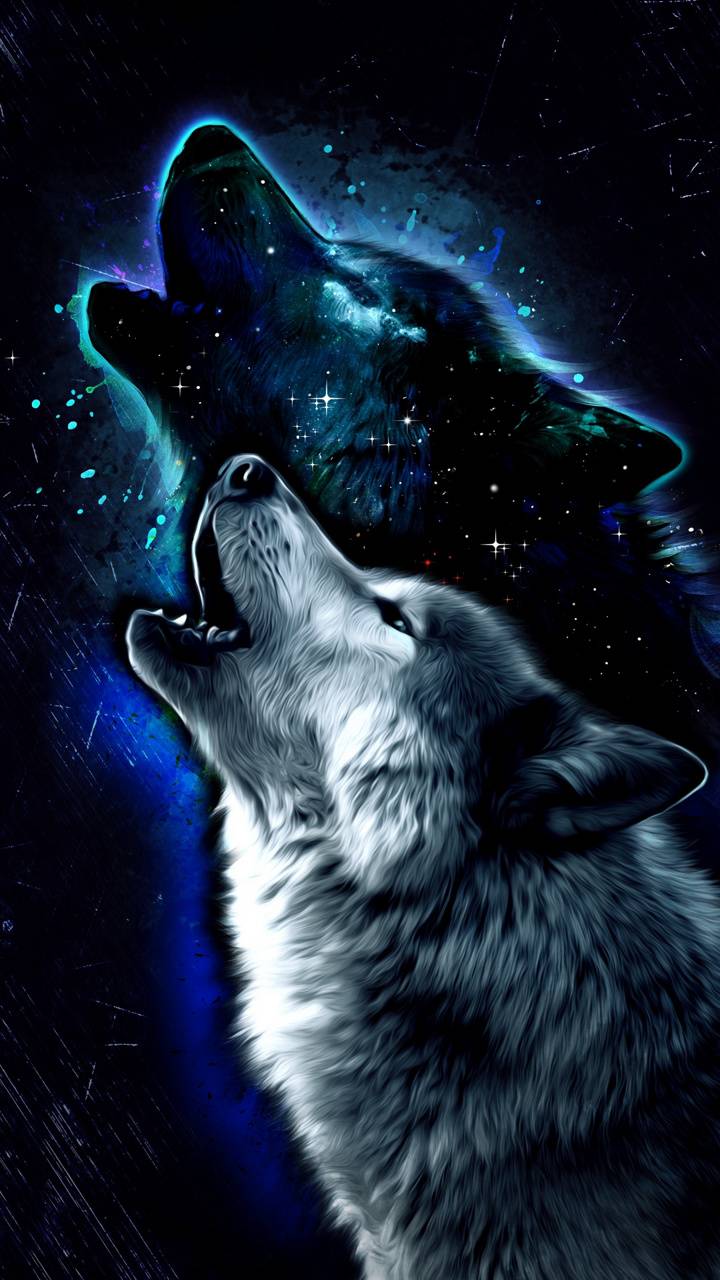 Wolf Wallpaper Android Free HD Wallpaper