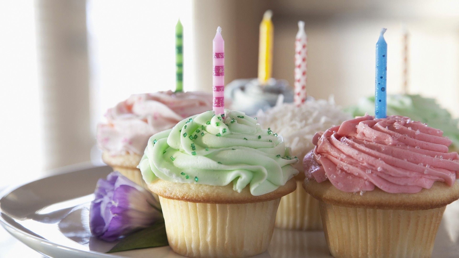 Cup Cake wallpaper wallpaper Collections