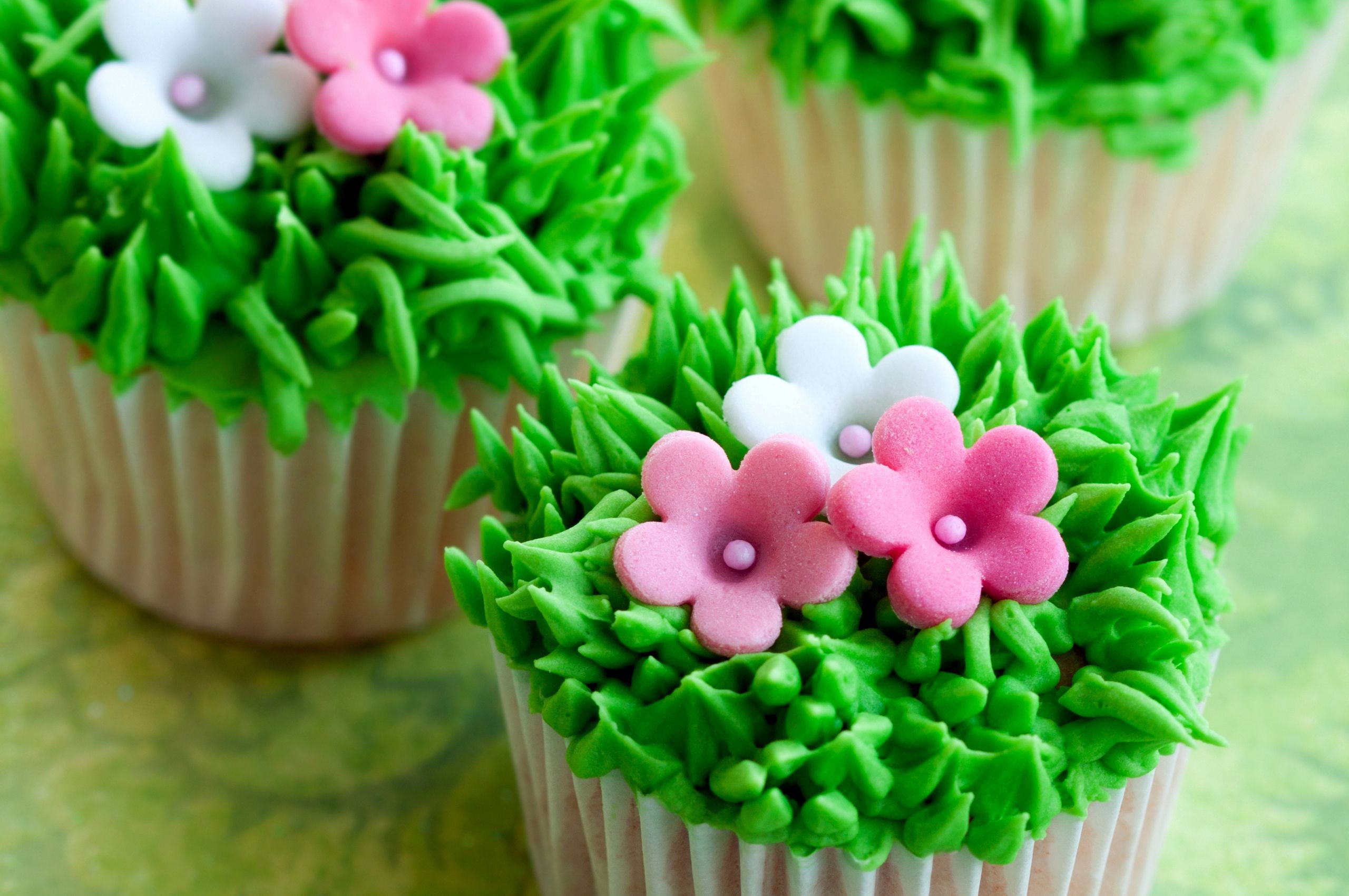 Green CuPCake Wallpapers - Wallpaper Cave