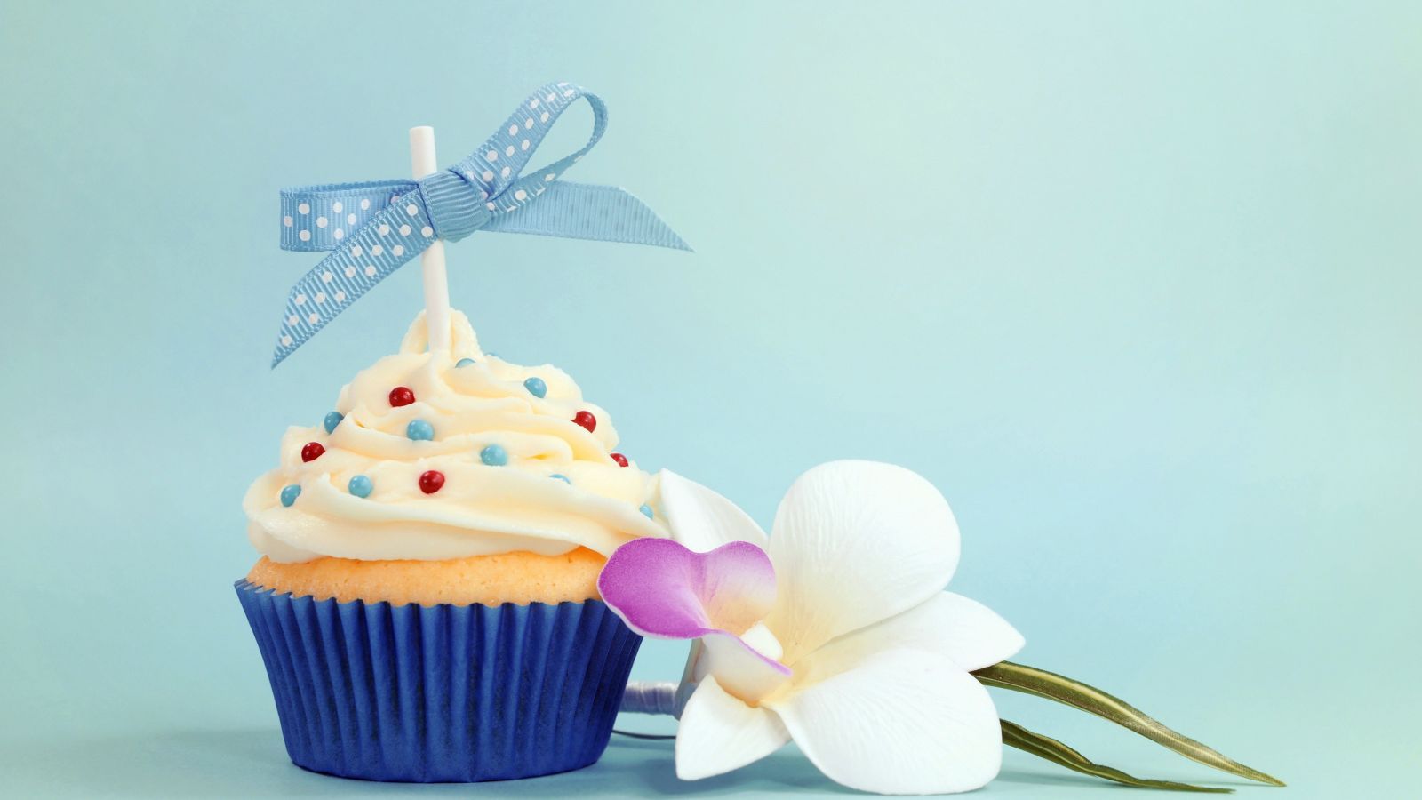Baby Cupcake Birthday Bow Dessert Abstract HD Wallpaper Wallpaper. All is Wall