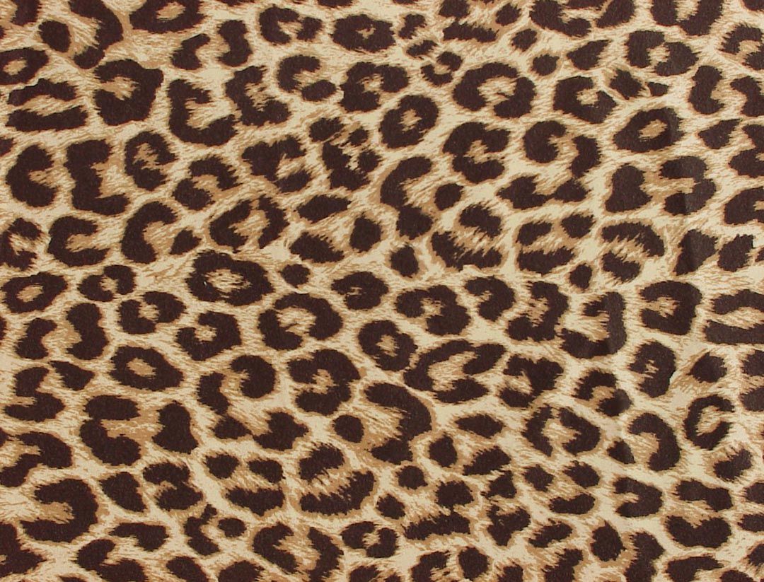 Leopard Print Skin Wallpaper HD For Desktop Print Background