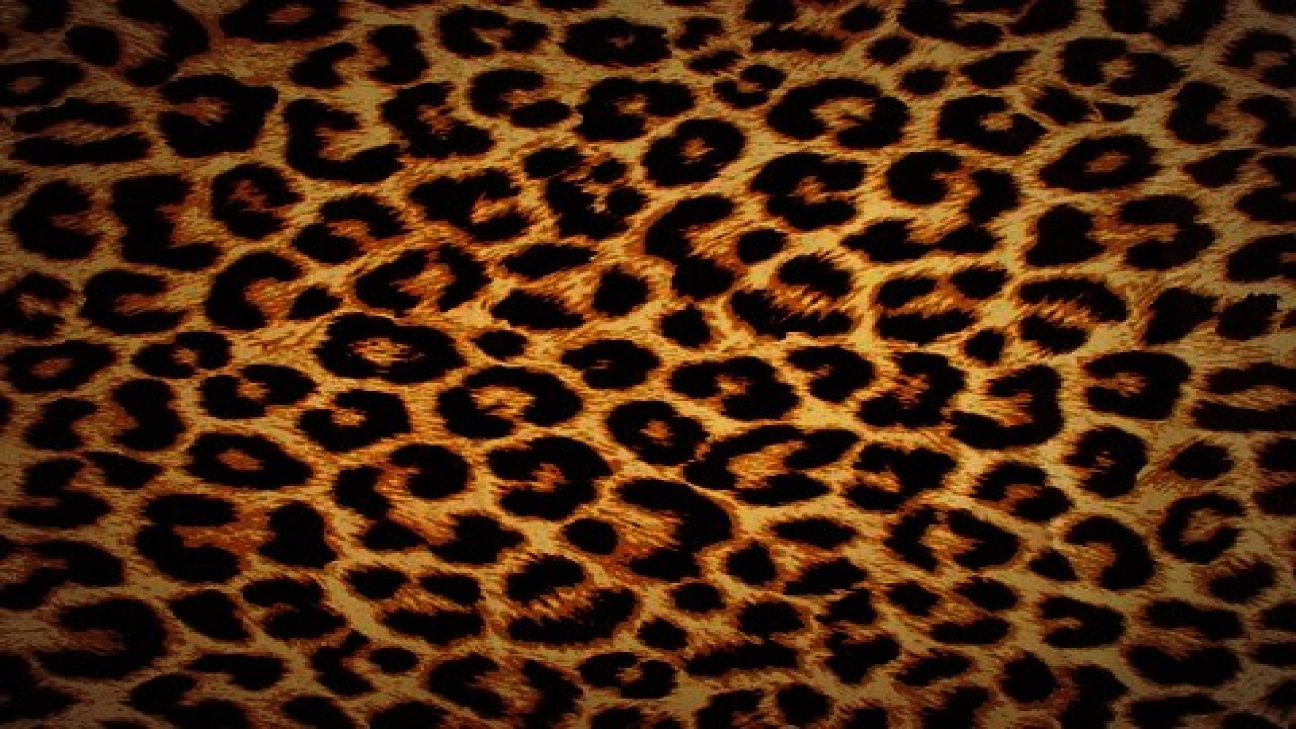 2560x1440 leopard skin computer background