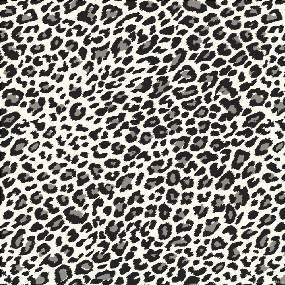 Arthouse Fierce Leopard Skin Animal Print Wallpaper Black White 618201 Desktop Background