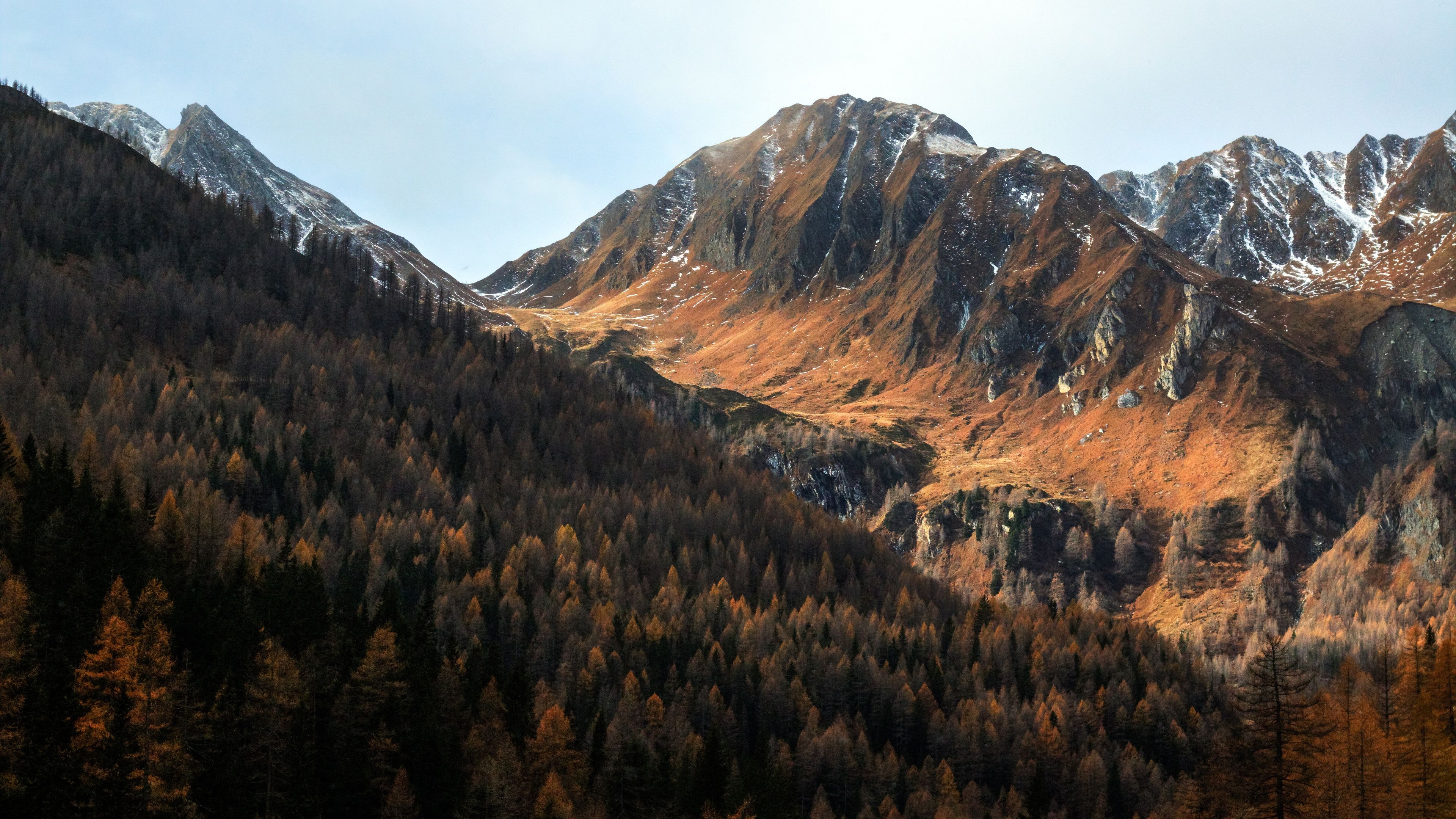 Wallpaper 4k Scenic View Of The Mountains Pine Tress Forest 5k 4k Wallpaper, 5k Wallpaper, Forest Wallpaper, Hd Wallpaper, Mountains Wallpaper, Nature Wallpaper, Pine Wallpaper, Trees Wallpaper