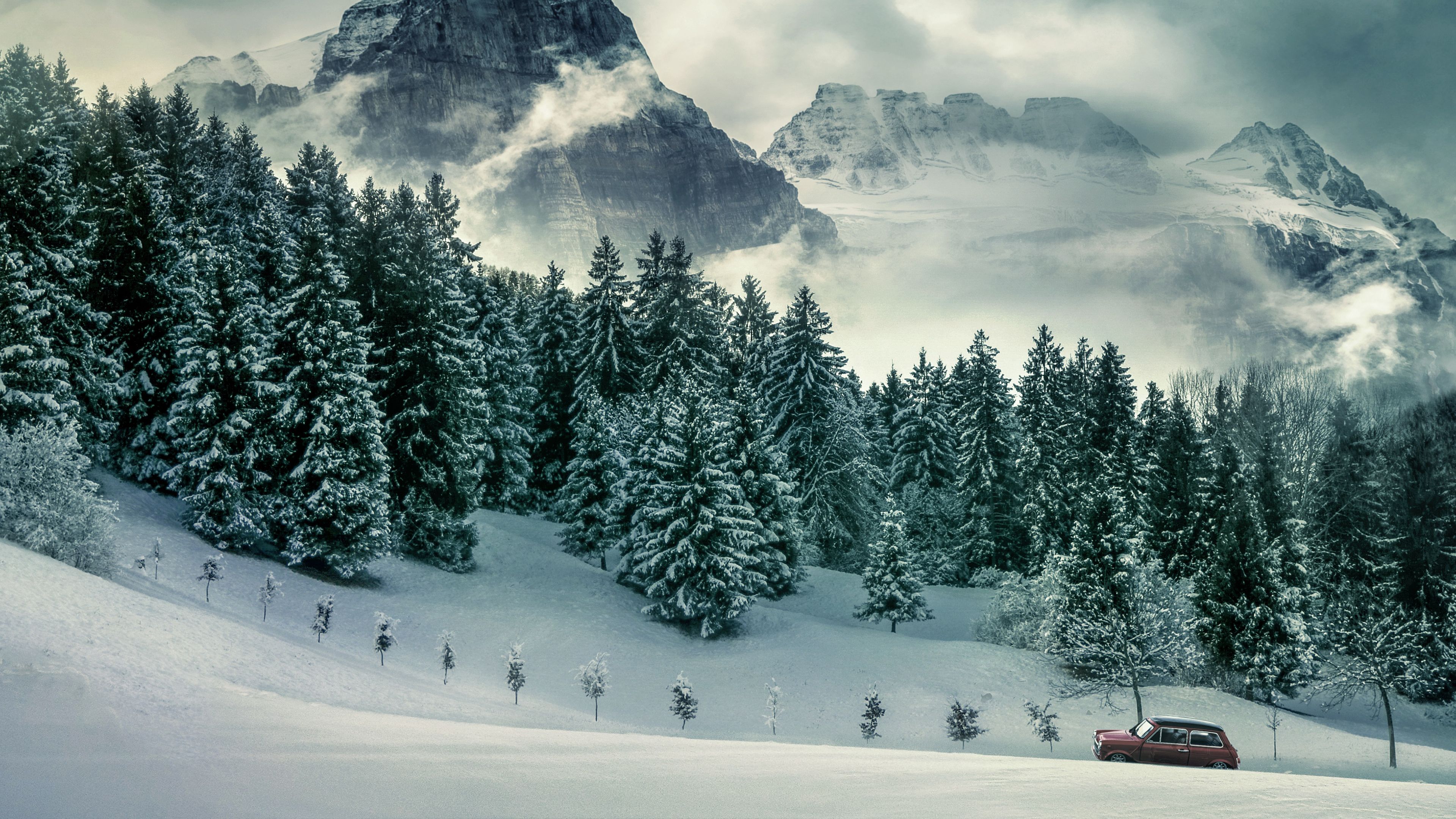 Forest, Mountains, Pine trees, Winter, Peak, 4k Free deskk wallpaper, Ultra HD