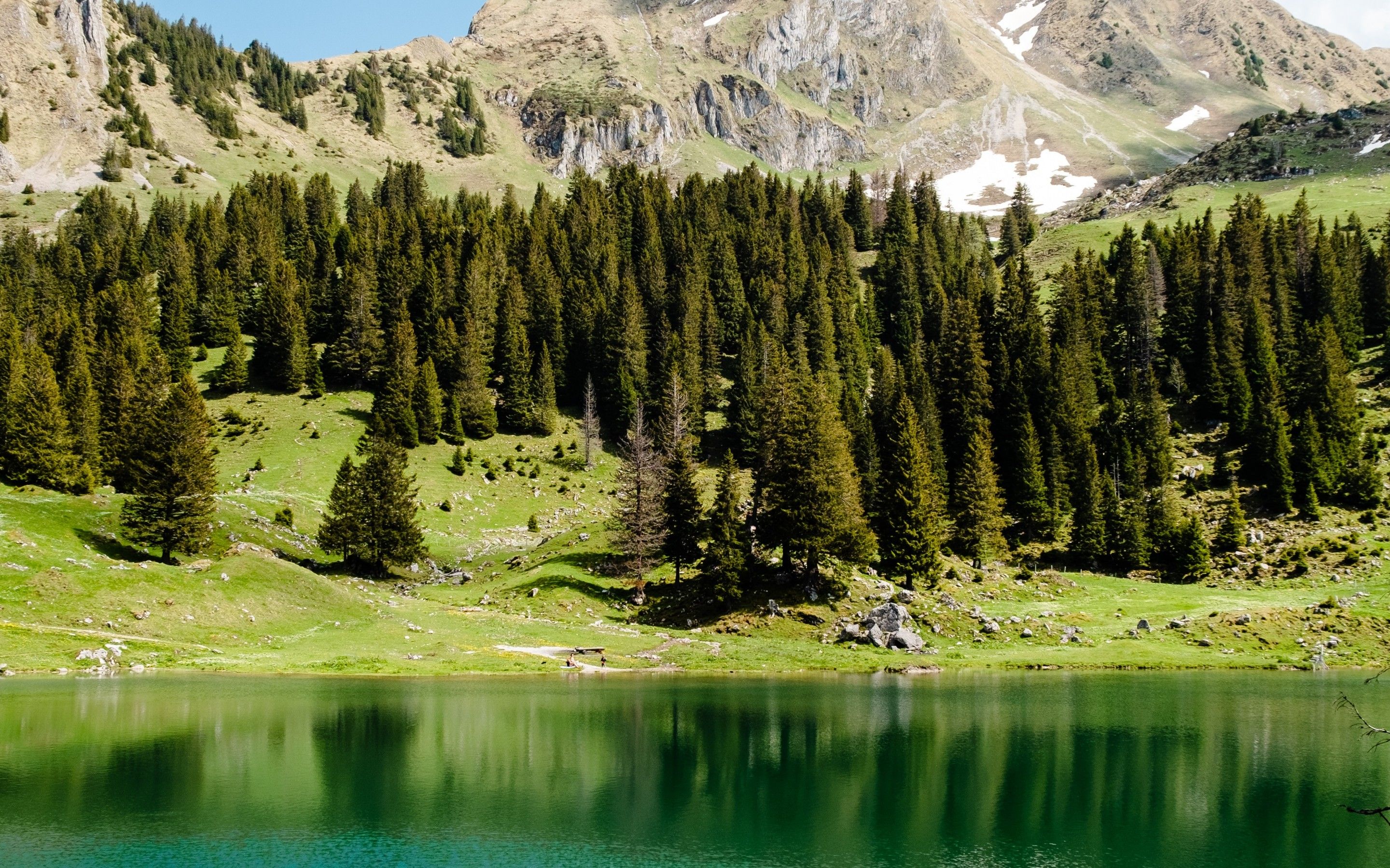 Gantrischseeli lake 4K Wallpaper, Pine trees, Spring, Reflection, Mountain, Peak, Switzerland, Nature