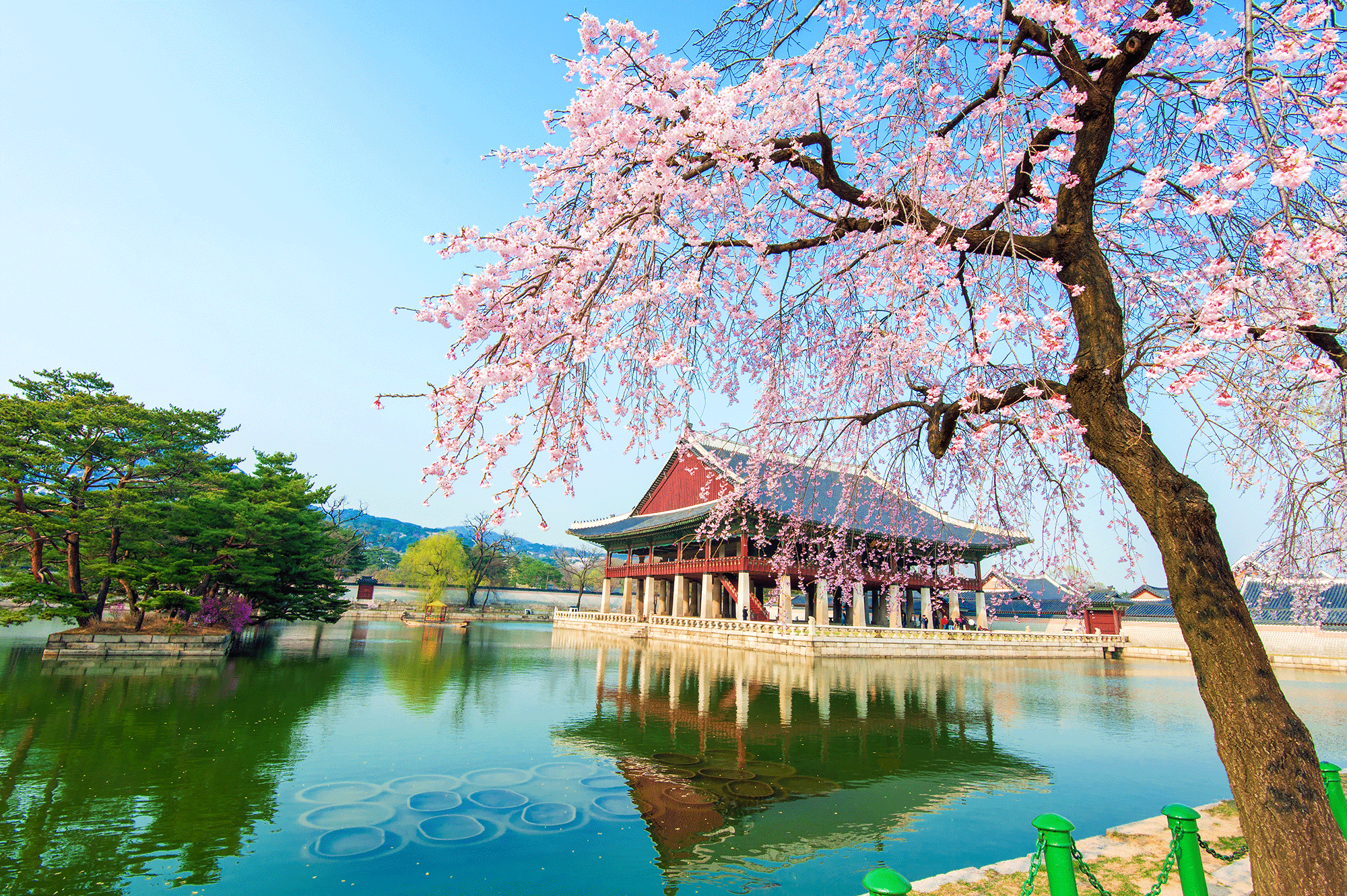 Korea Scenery Wallpaper Free Korea Scenery Background