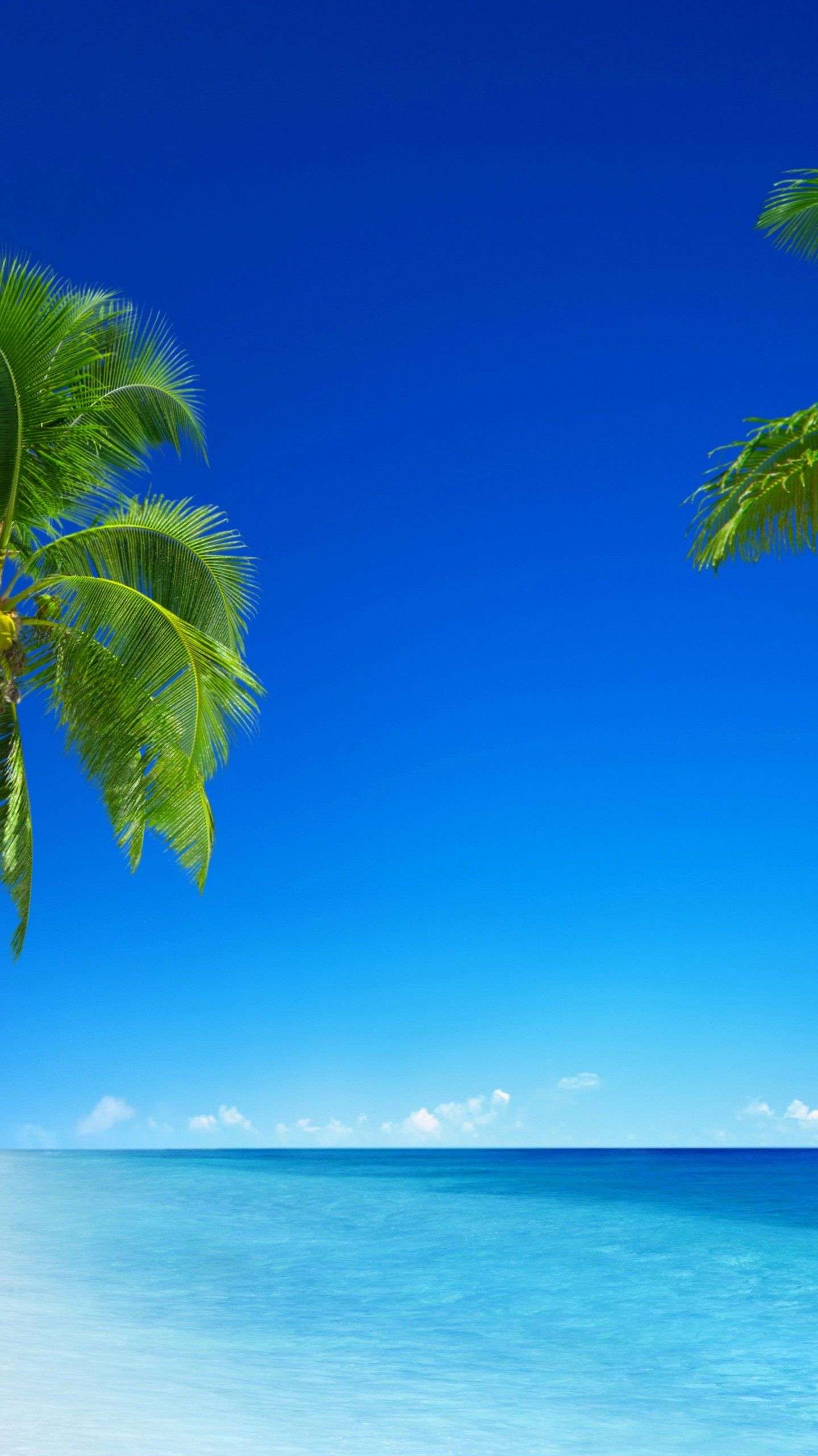 Tropical Beach Wallpaper Vertical