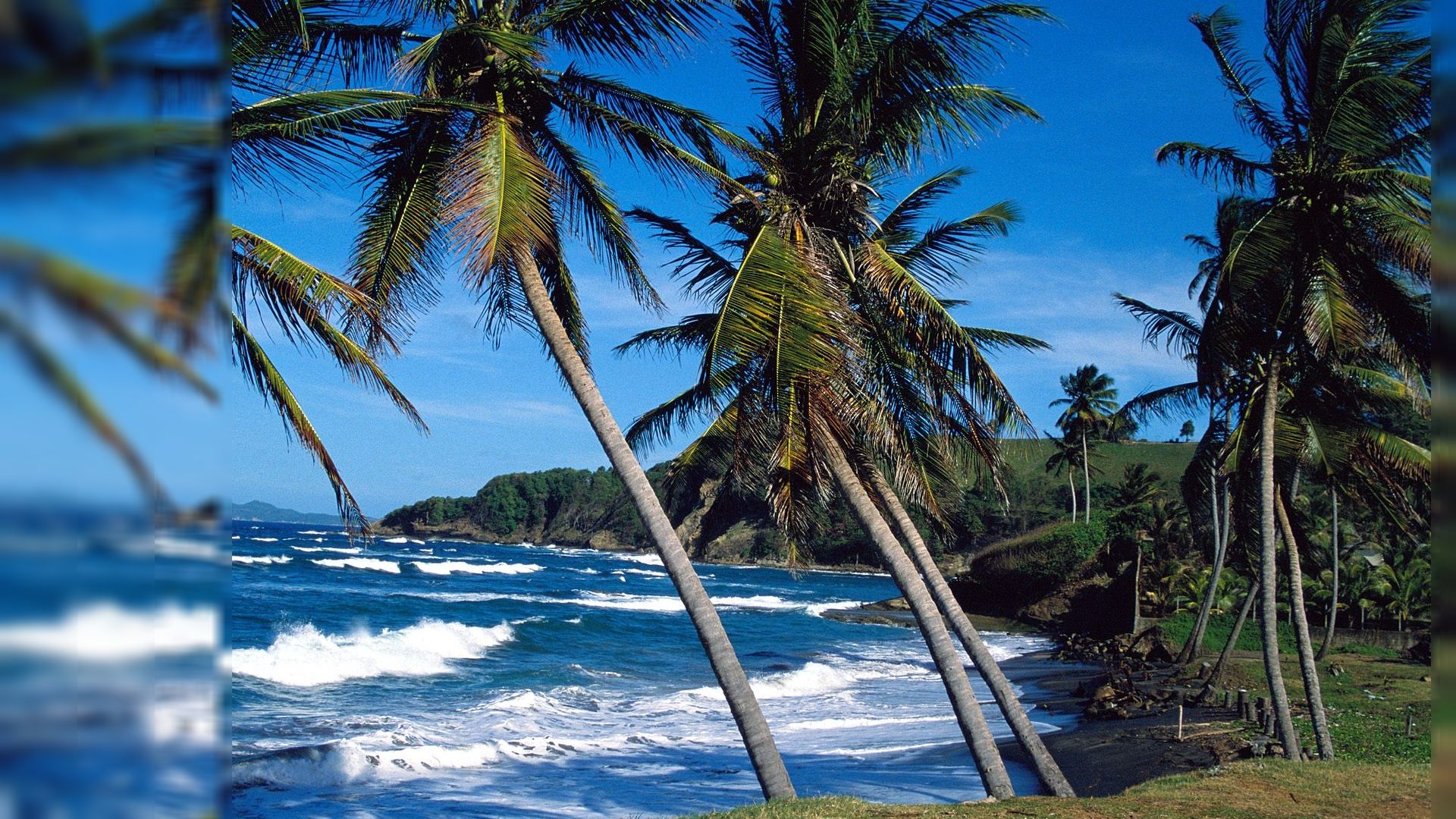 Free Summer wallpaperx1080