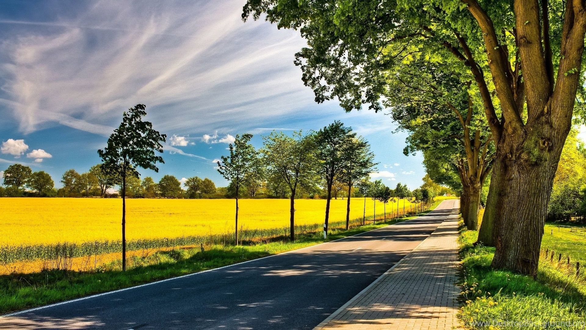 Summer Road Fields Wallpaper Desktop Background