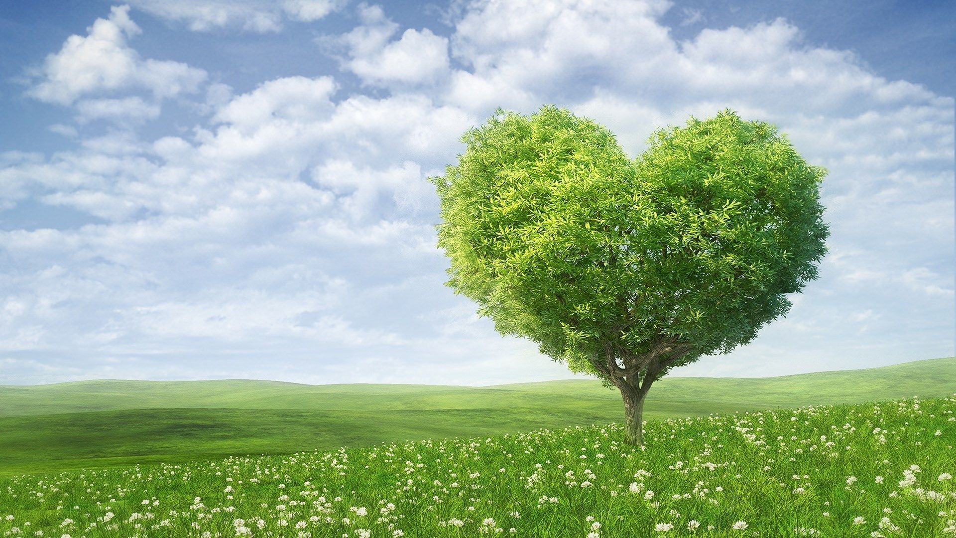 1920x1080 summer wallpaper free desktop wallpaper JPG 559 kB