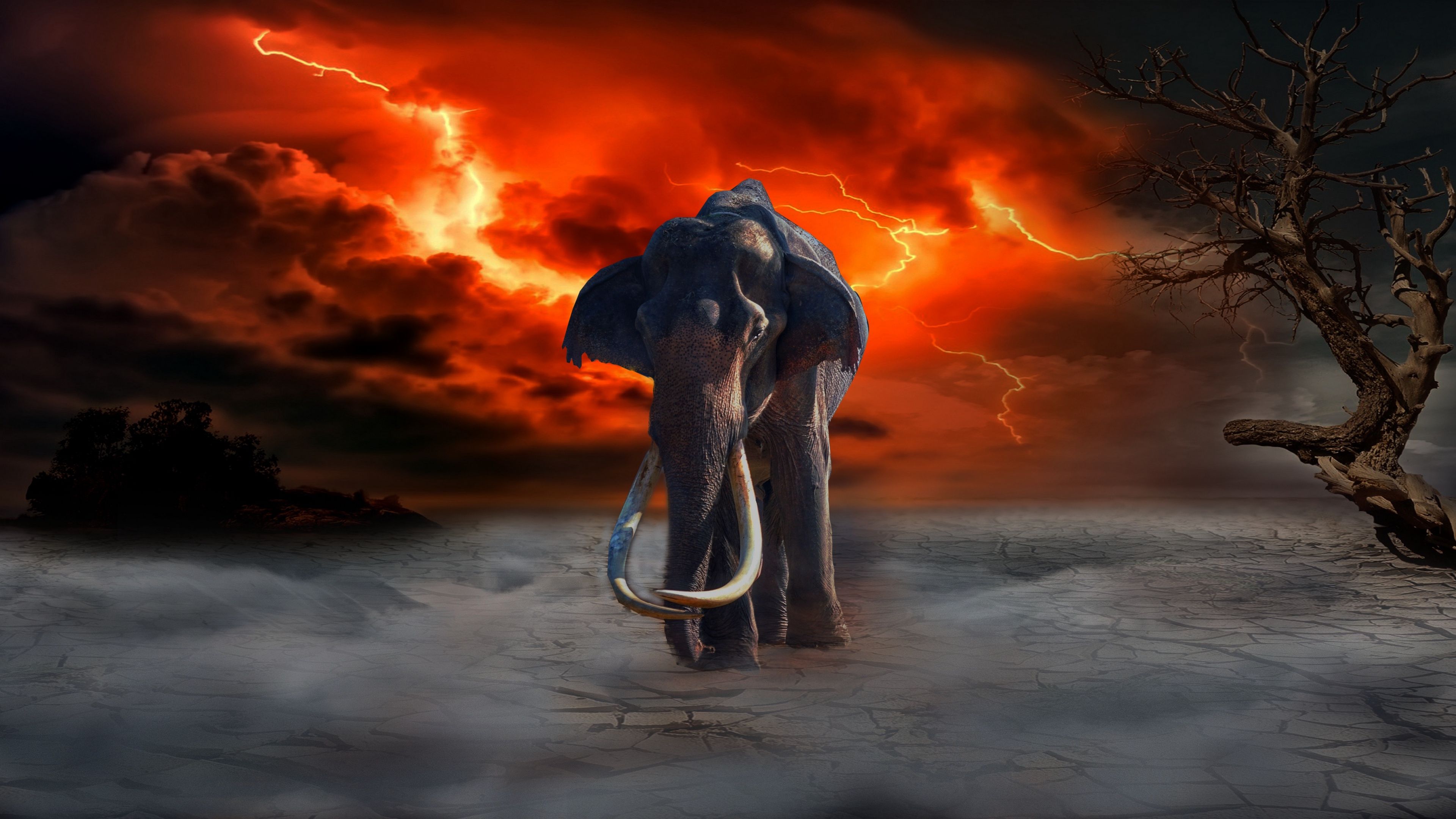 Wallpaper 4k elephant, lightning, photohop, fantasy 4k elephant, Lightning, photohop
