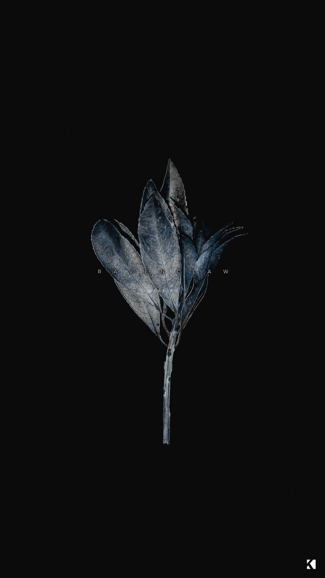 Dark Dp Wallpapers Wallpaper Cave