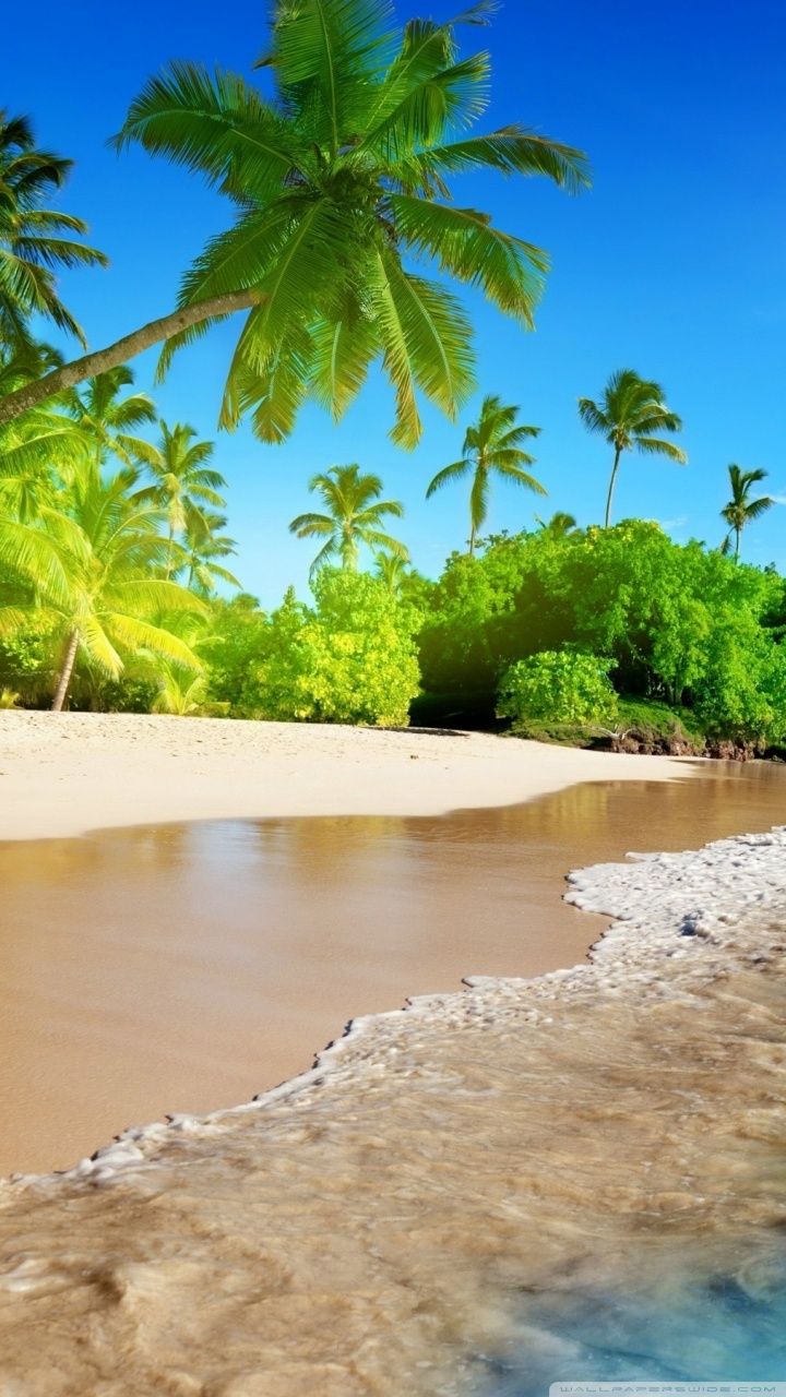 Beach, Tropical Island Ultra HD Desktop Background Wallpaper for 4K UHD TV, Multi Display, Dual Monitor, Tablet