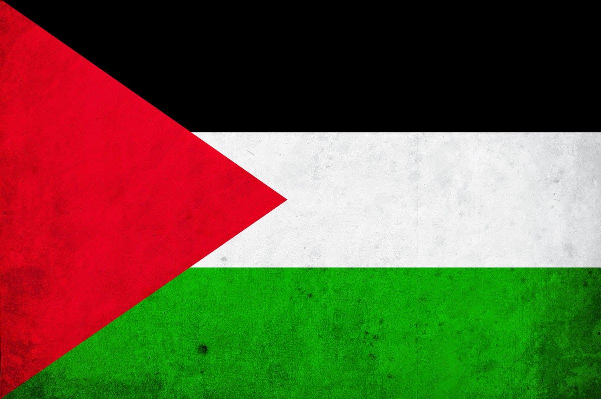 Palestine flag png HD picture 3000x4515 px. Png Vectors ., The palestinian territories are located in western asia, along the palestine is divided into 4 geographical regions