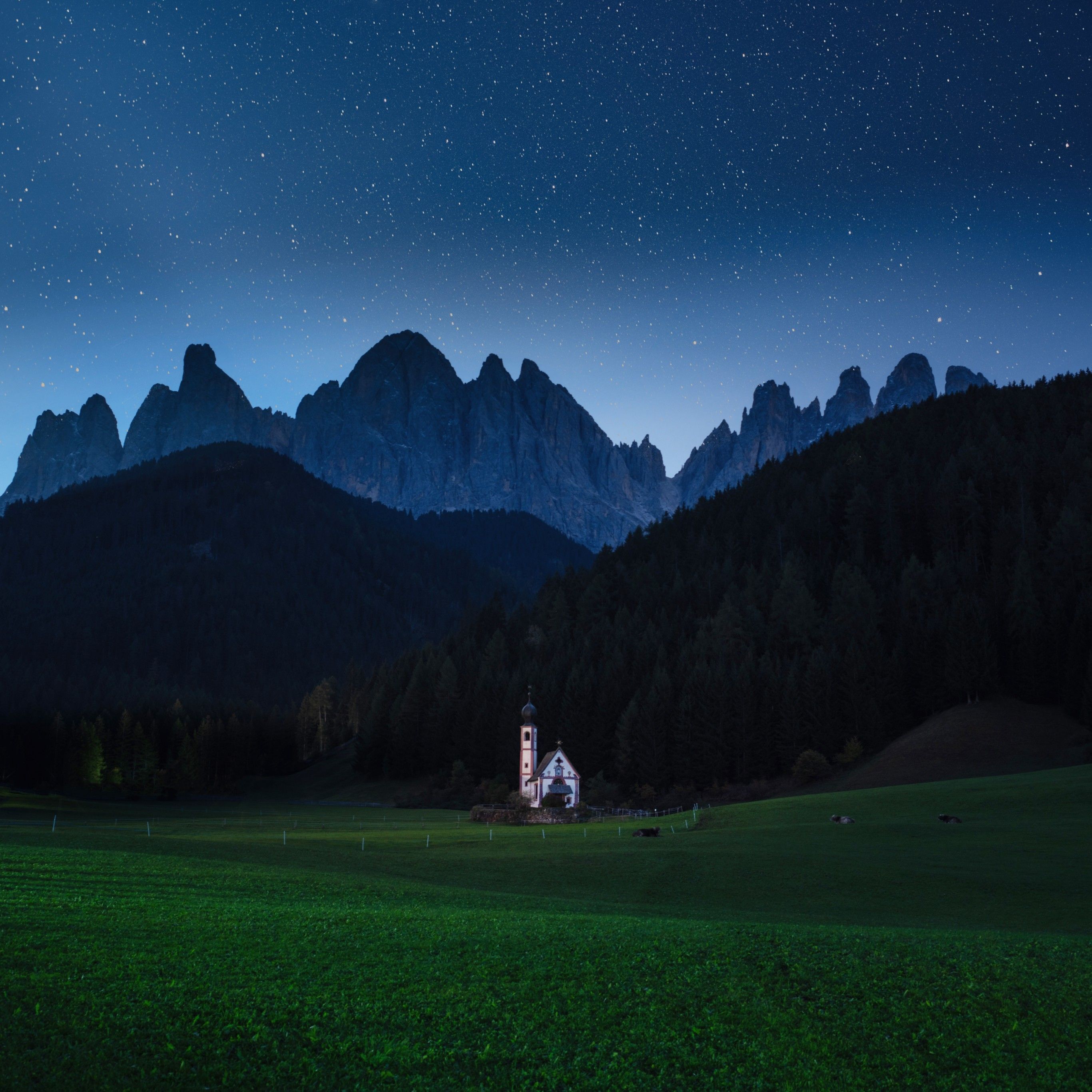 Forest 4K Wallpaper, Mountains, House, Grassland, Countryside, Starry sky, Blue sky, Scenic, Nature