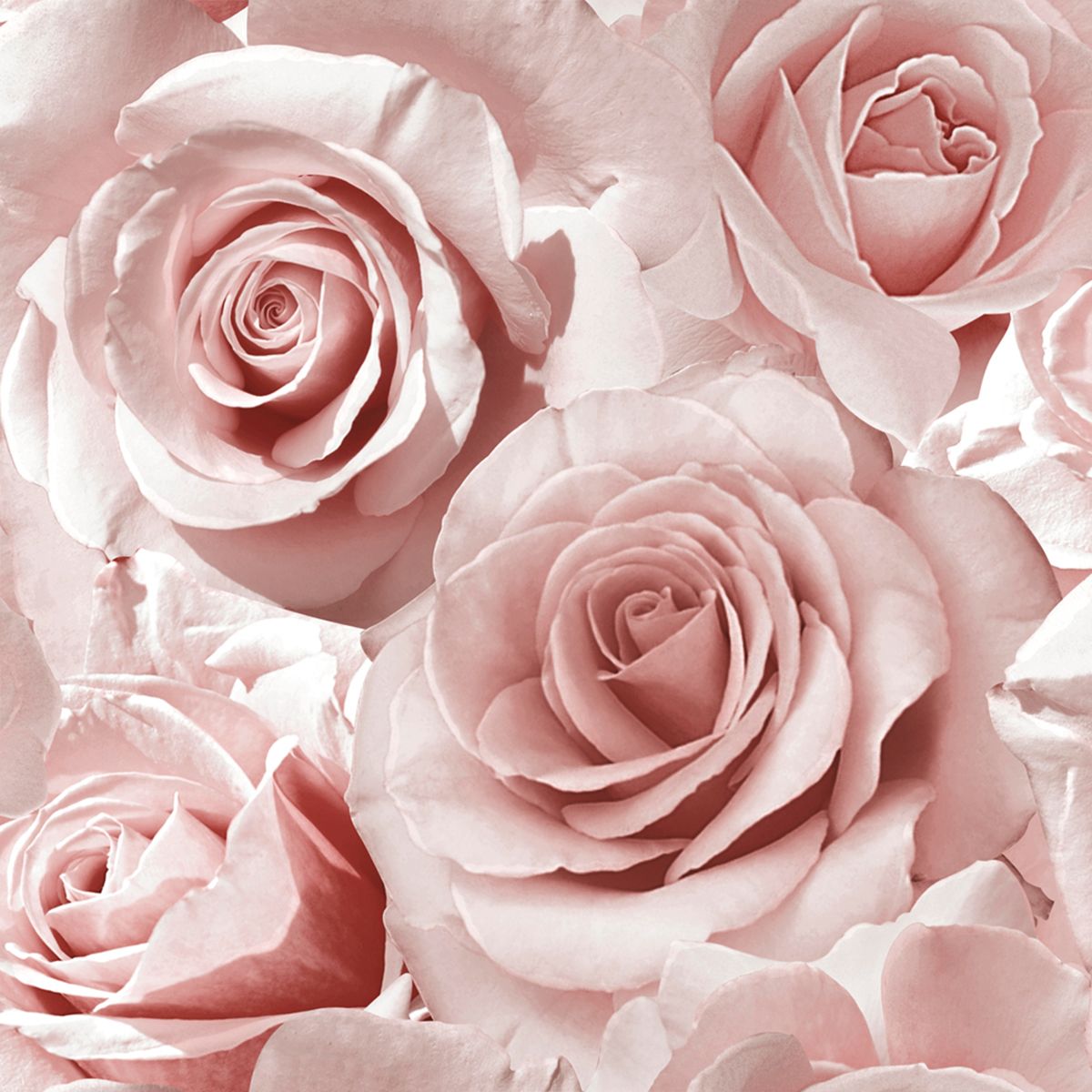 Madison Rose Floral Wallpaper Pink Blush