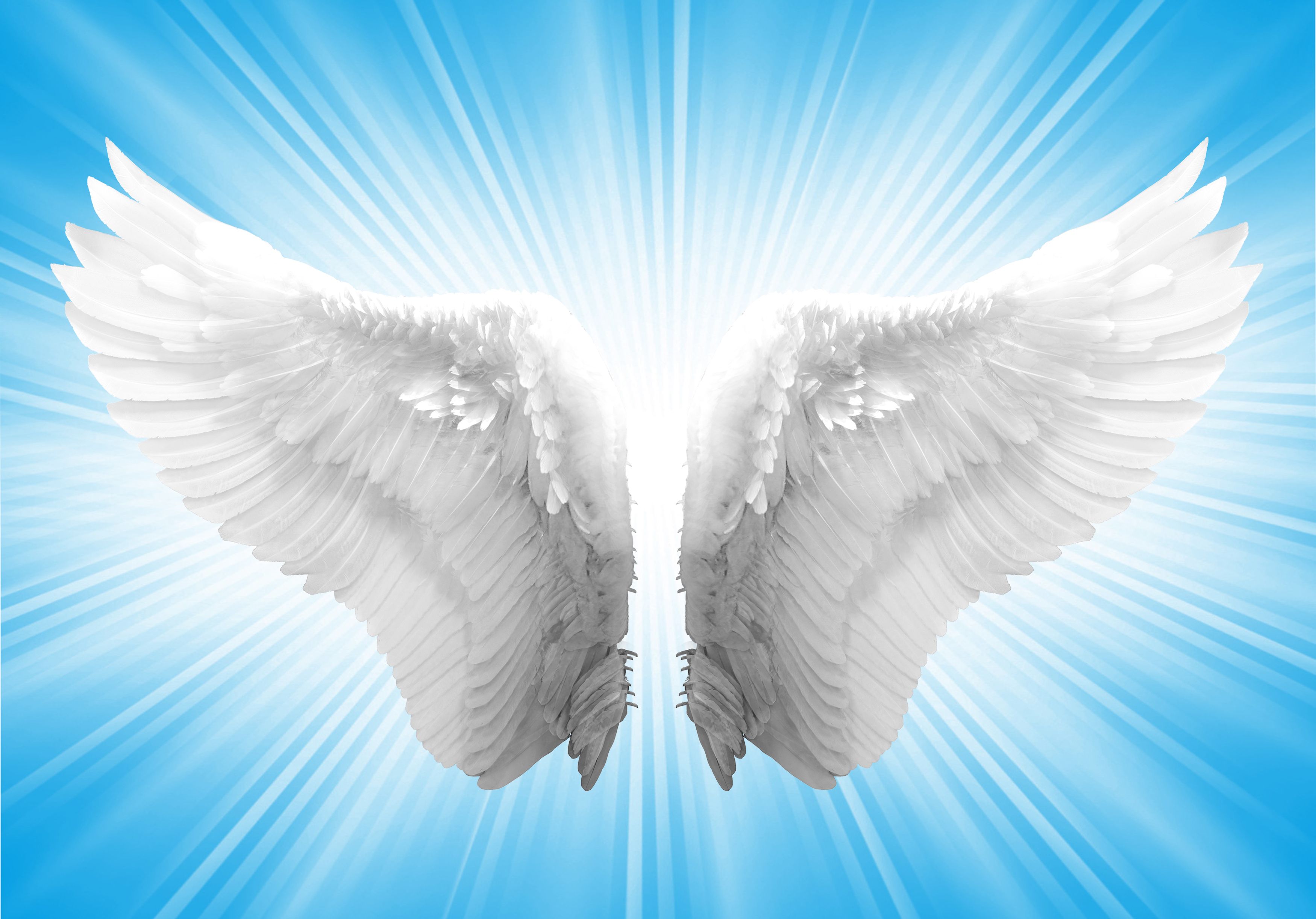 heaven angel wings background