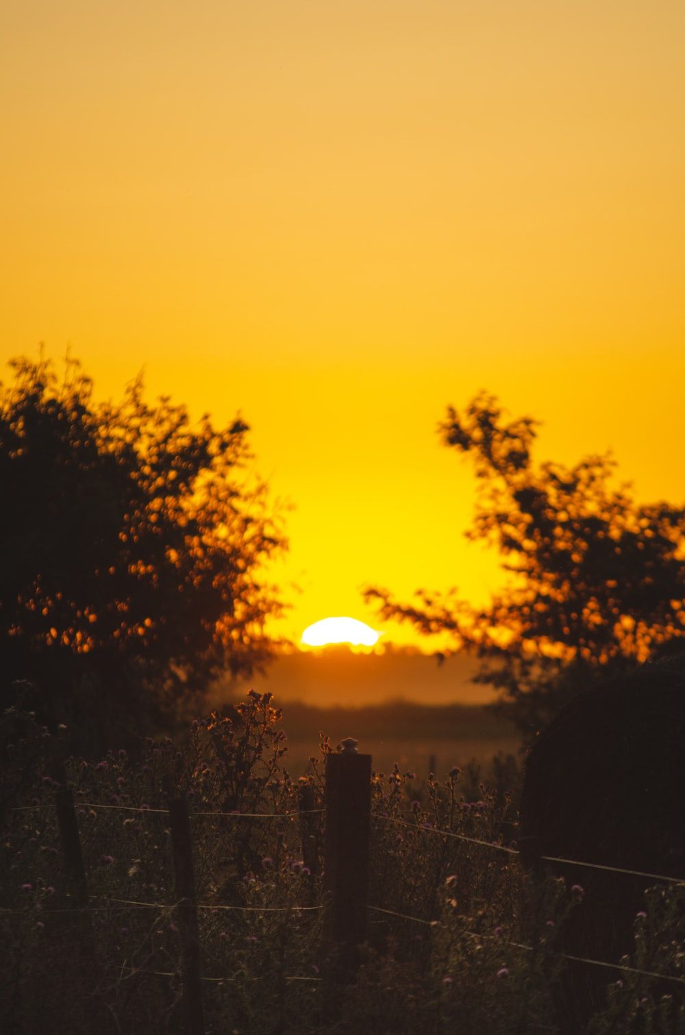 Yellow Sunrise Picture. Download Free Image