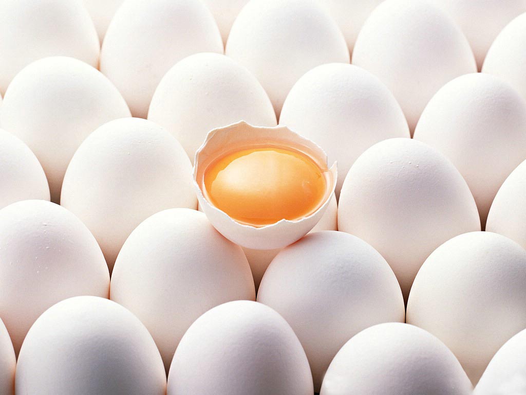 Eggs Wallpapers - Wallpaper Cave