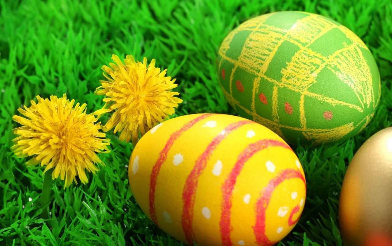 Two flowers and three easter eggs wallpaper. Two flowers and three easter eggs