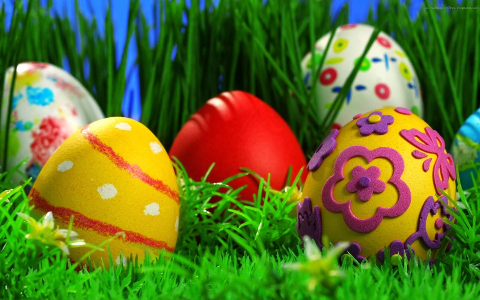 WOW: 3D Eggs Wallpaper