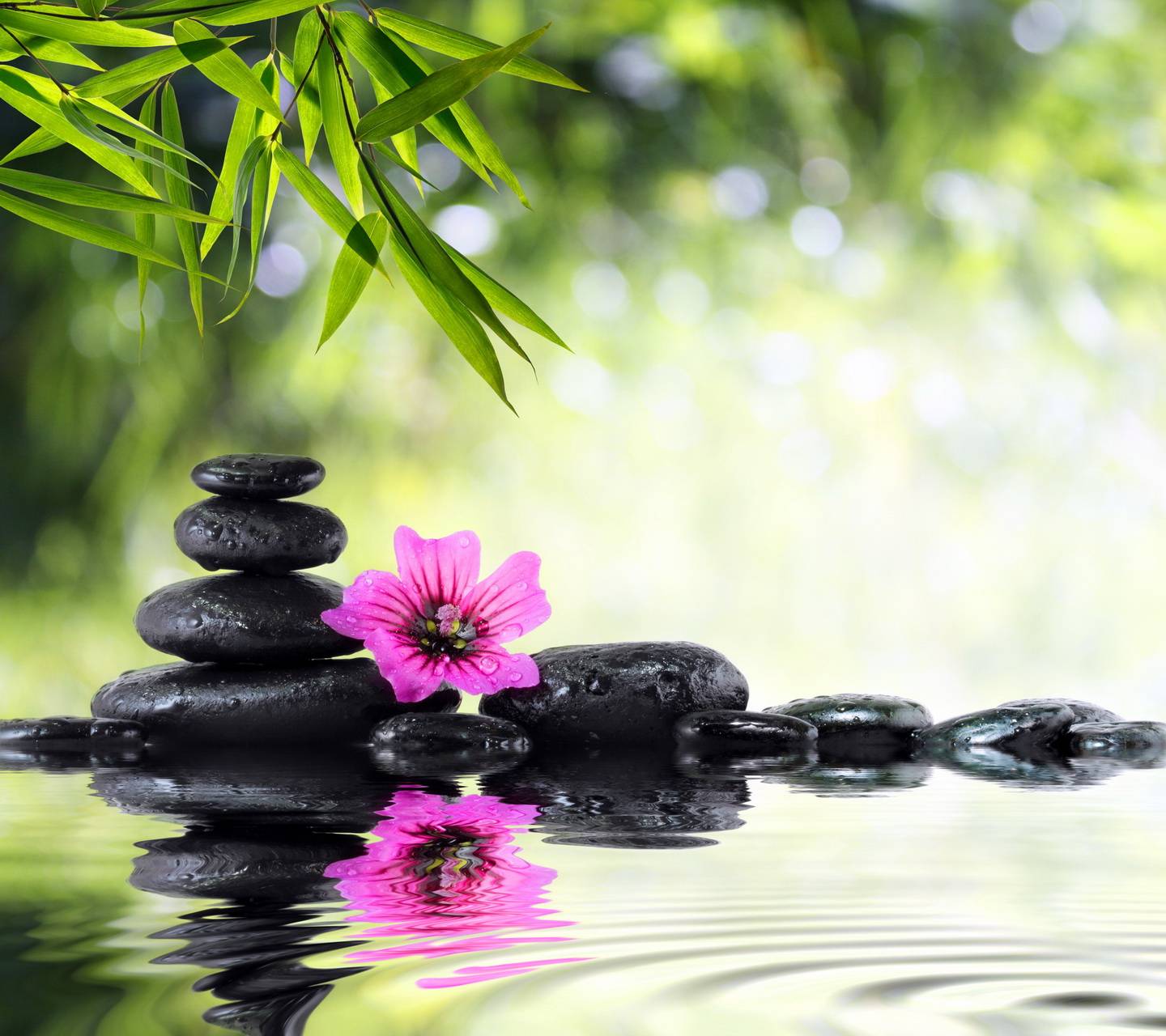 Relaxing Spa Wallpaper Free Relaxing Spa Background
