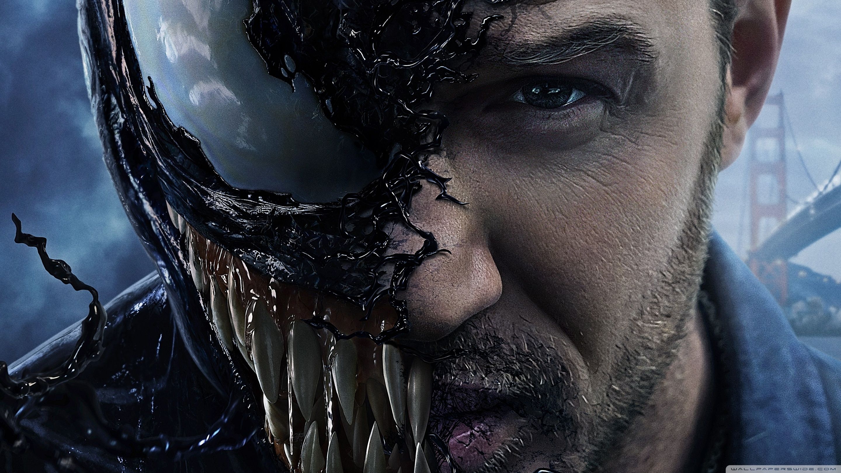 Venom Superhero Movie Tom Hardy Ultra HD Desktop Background Wallpaper for 4K UHD TV, Widescreen & UltraWide Desktop & Laptop, Tablet