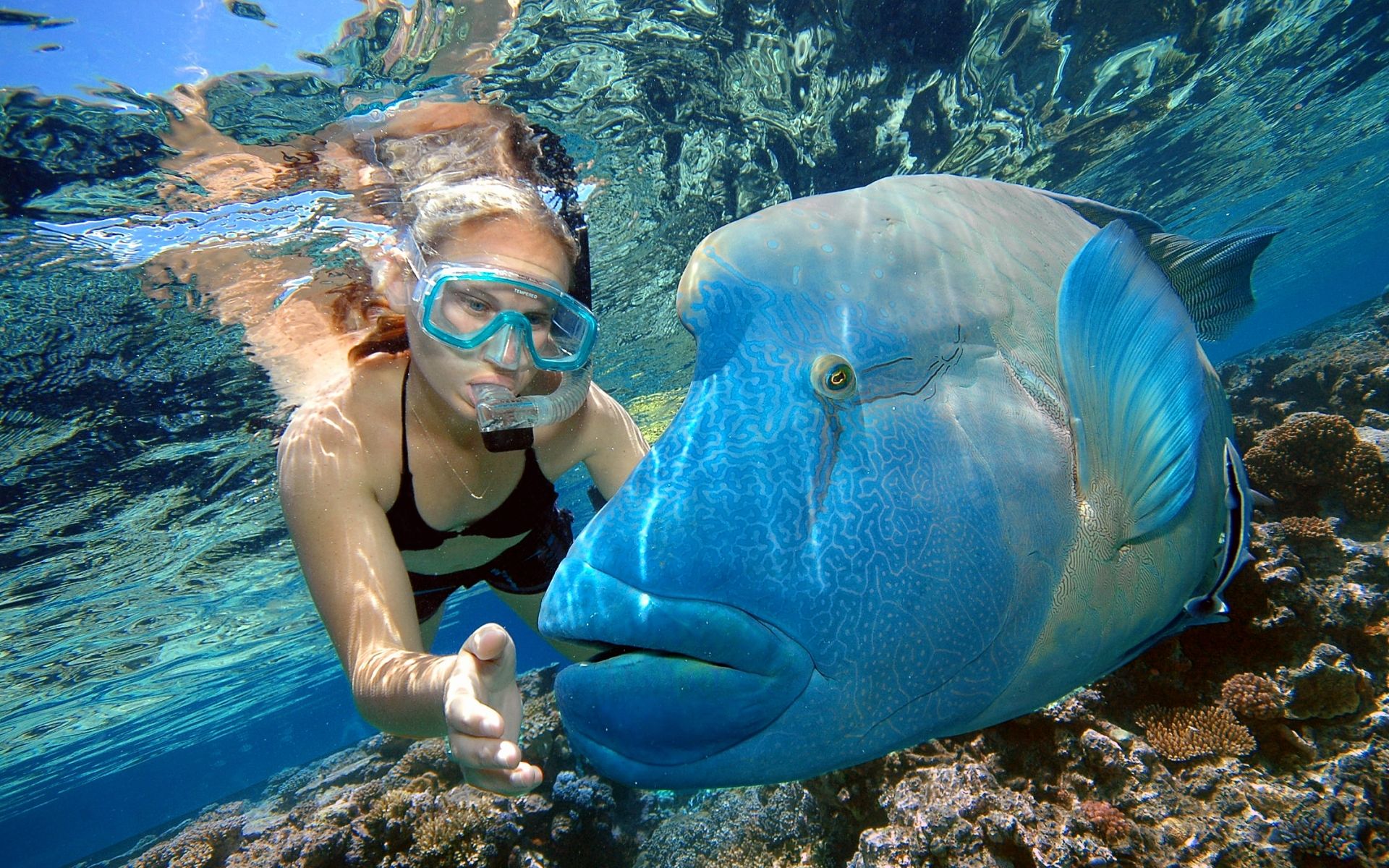 Great Barrier Reef