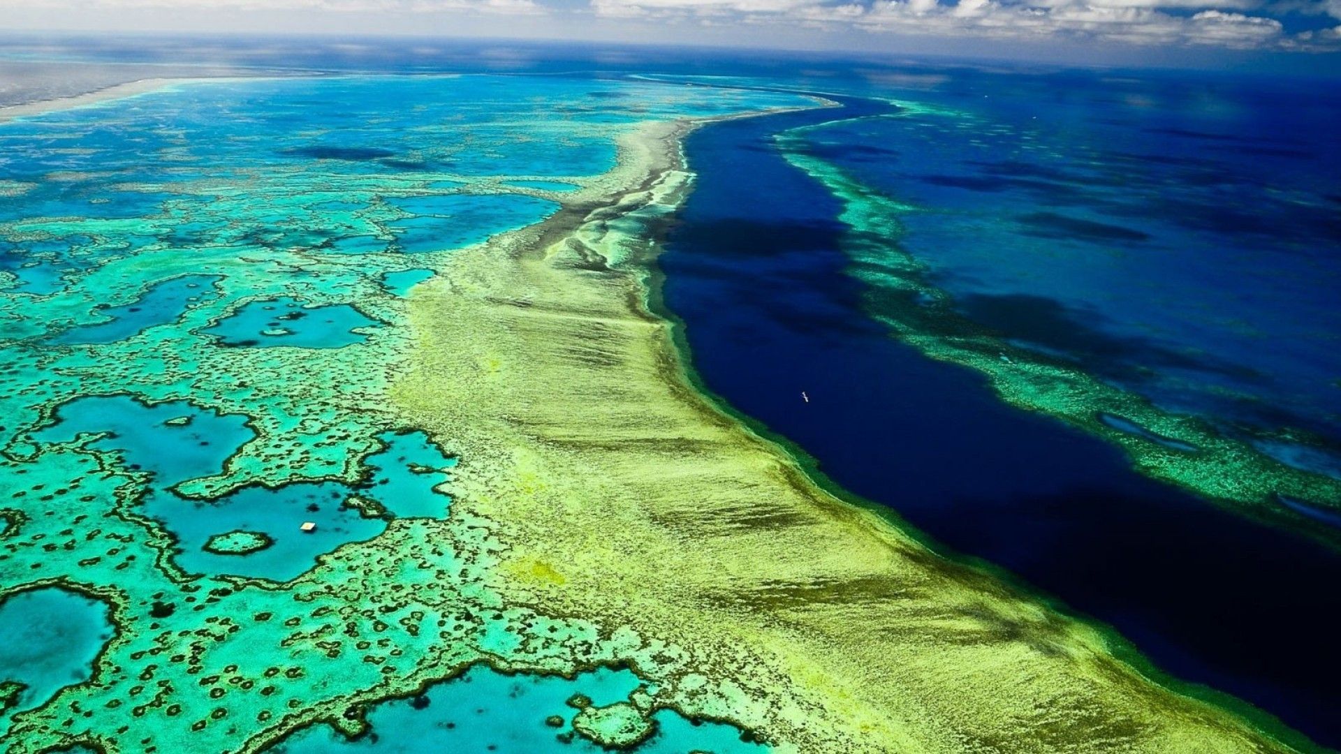 Great Barrier Reef HD HD Wallpaper