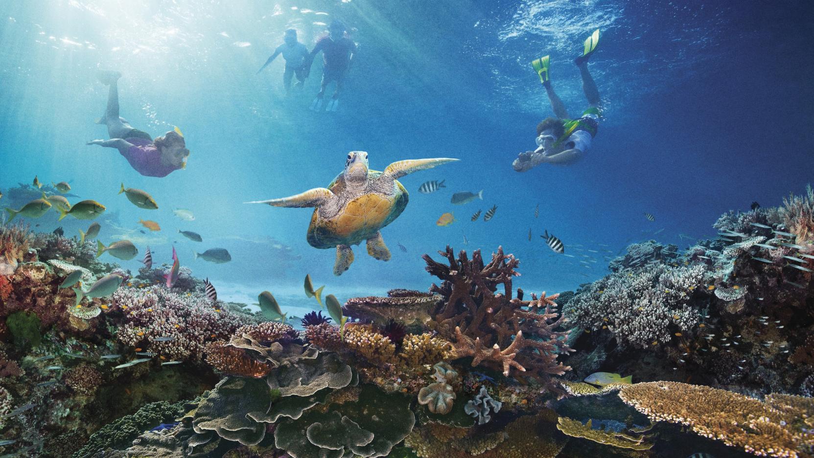 Great Barrier Reef wallpaper, Earth, HQ Great Barrier Reef pictureK Wallpaper 2019