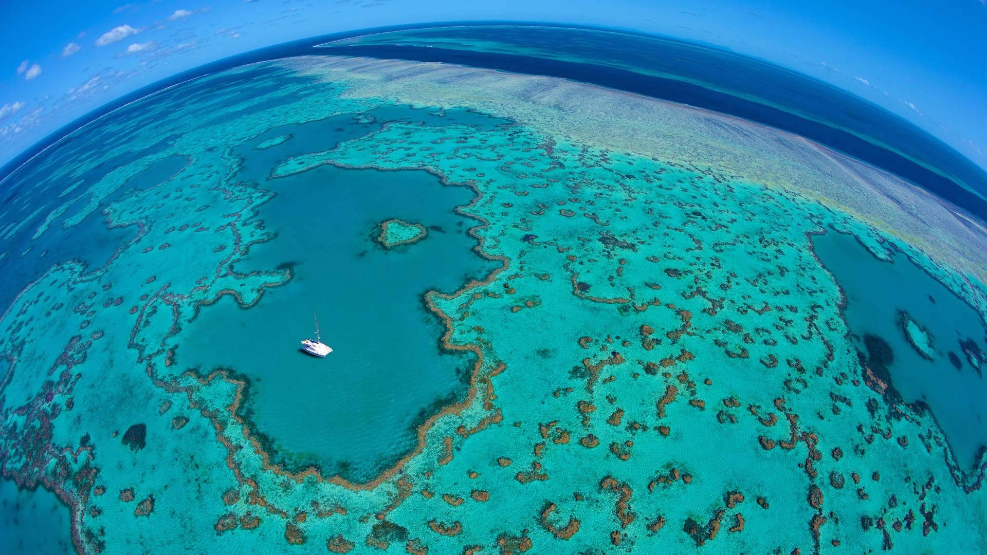 Great Barrier Reef Barrier Reef Bing HD Wallpaper