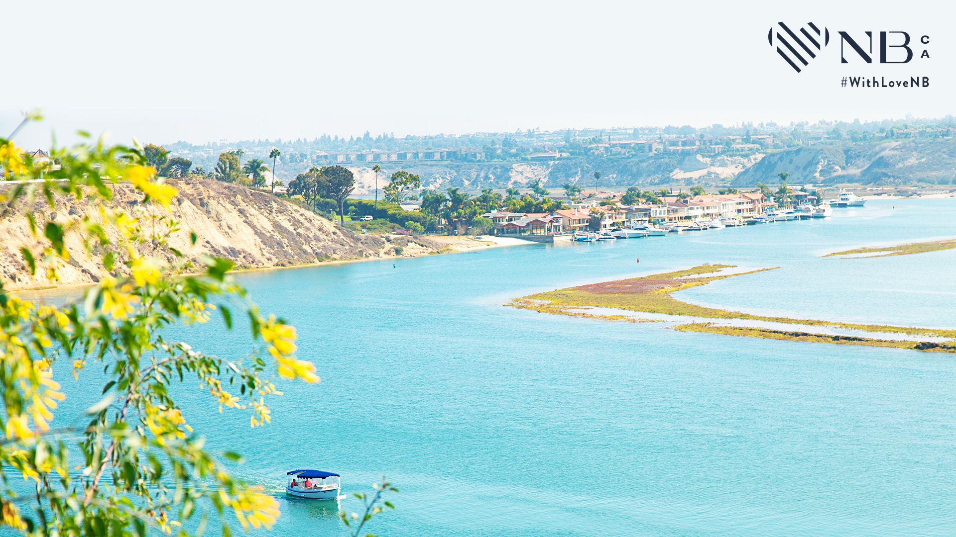 Desktop Wallpaper Beach Zoom Background HD Wallpaper