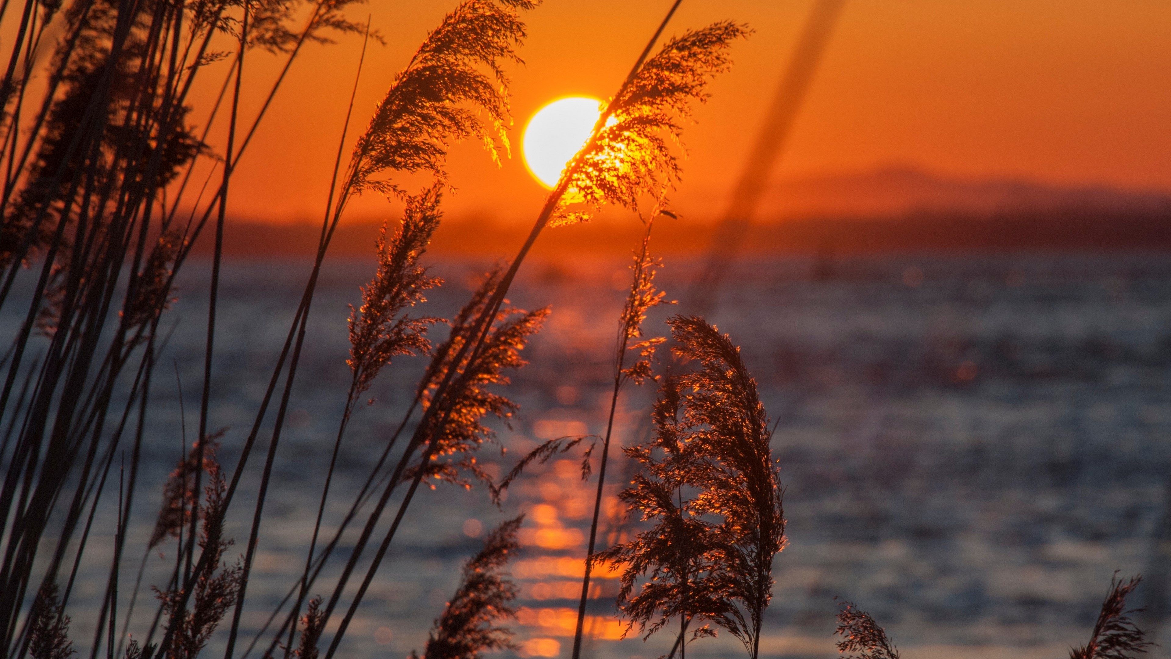 Sunset PC 4k Wallpapers - Wallpaper Cave