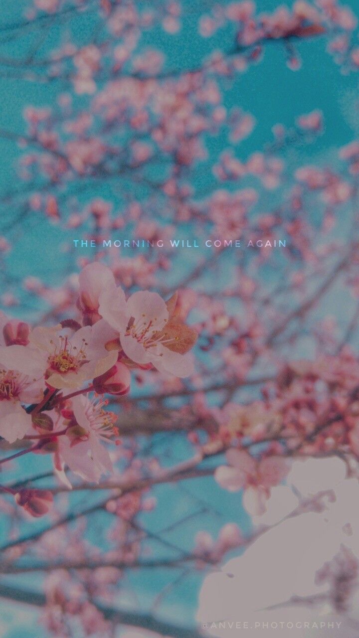 Plum Blossom Wallpaper, BTS Quotes. Bts spring day, Plum blossom, Flower wallpaper
