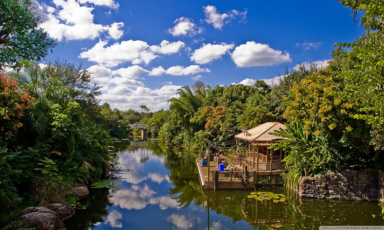 Disney World Wallpaper 4k